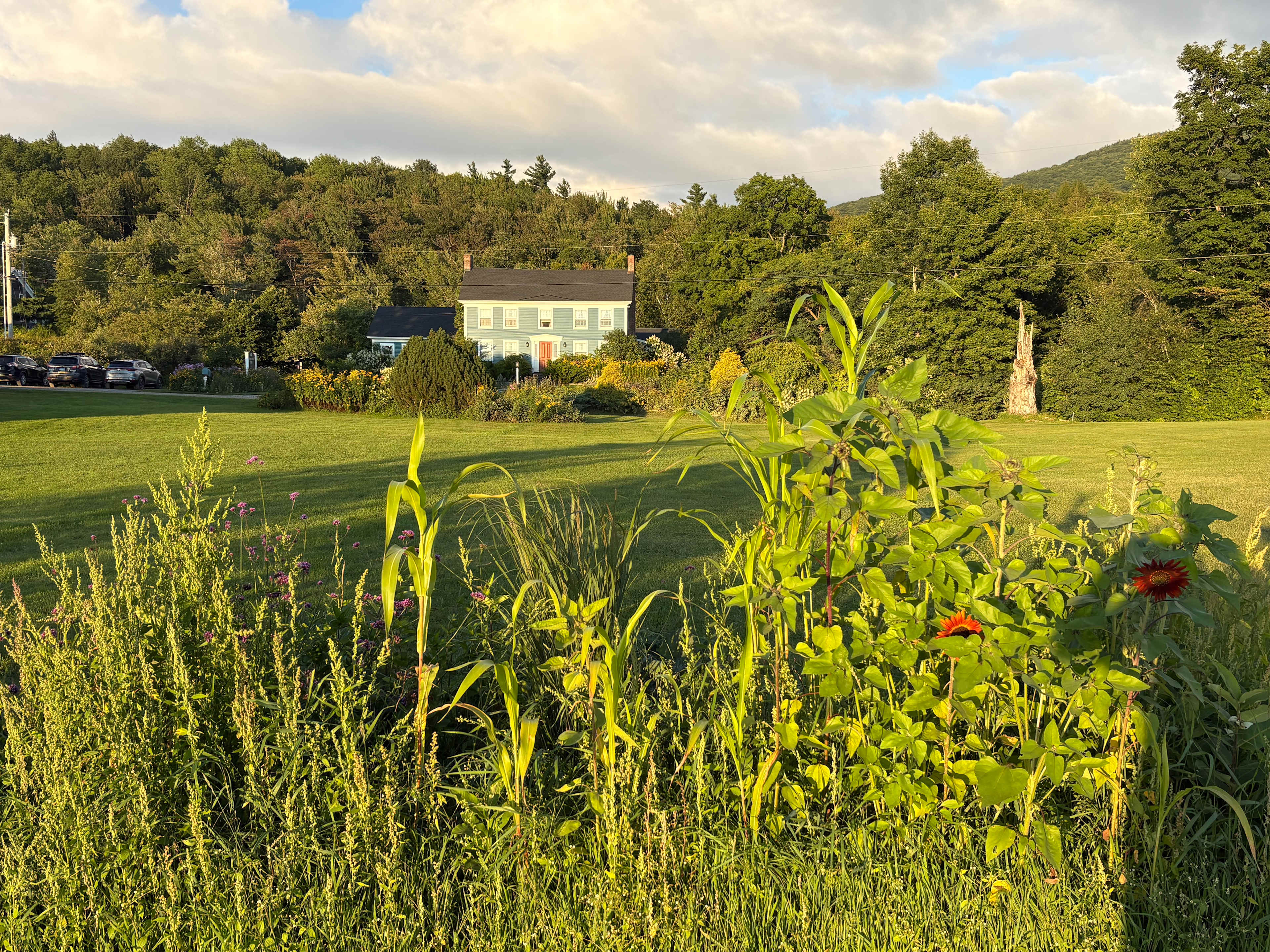BlueberryHill  Field Camp