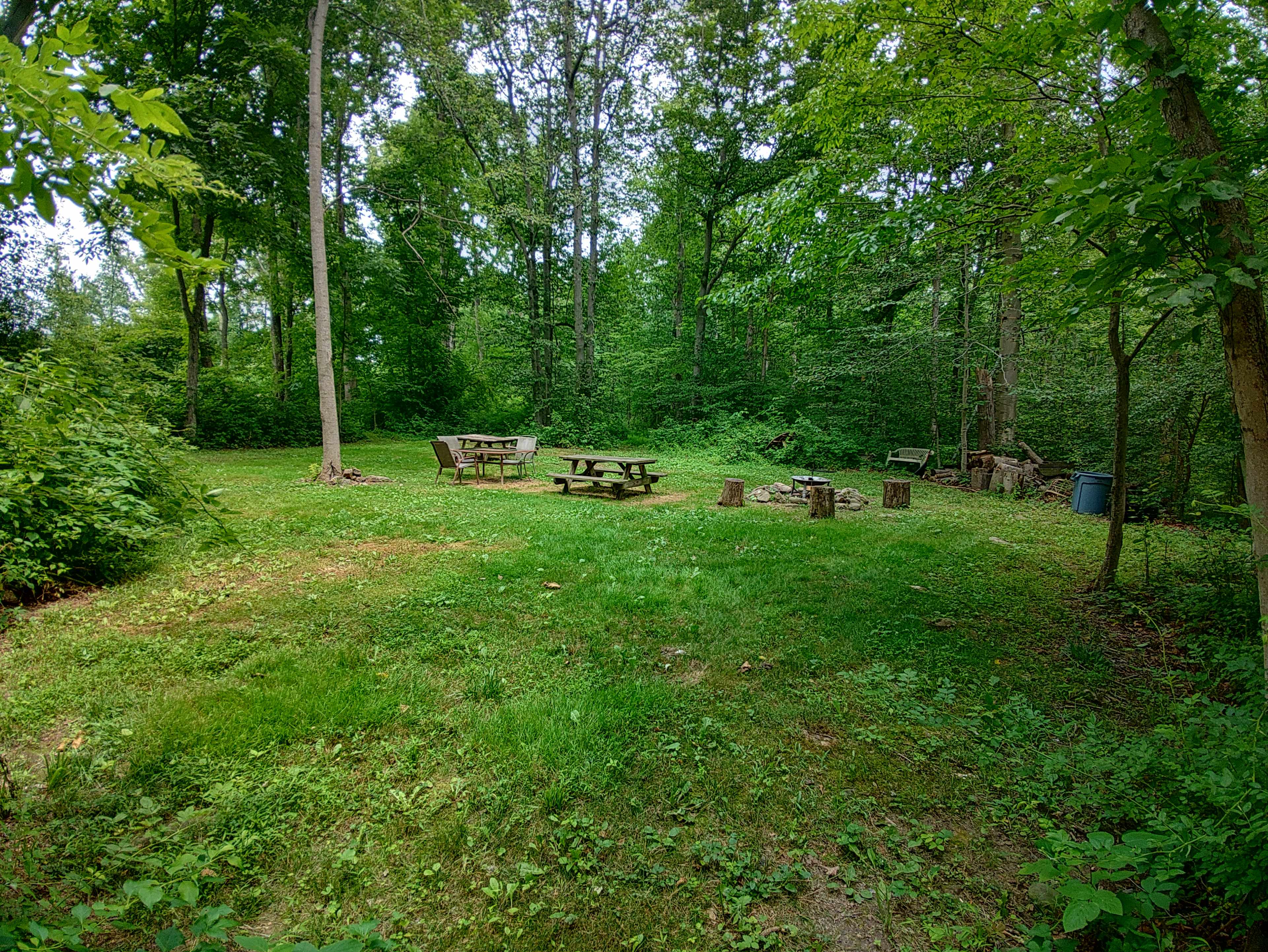 Picture of the site