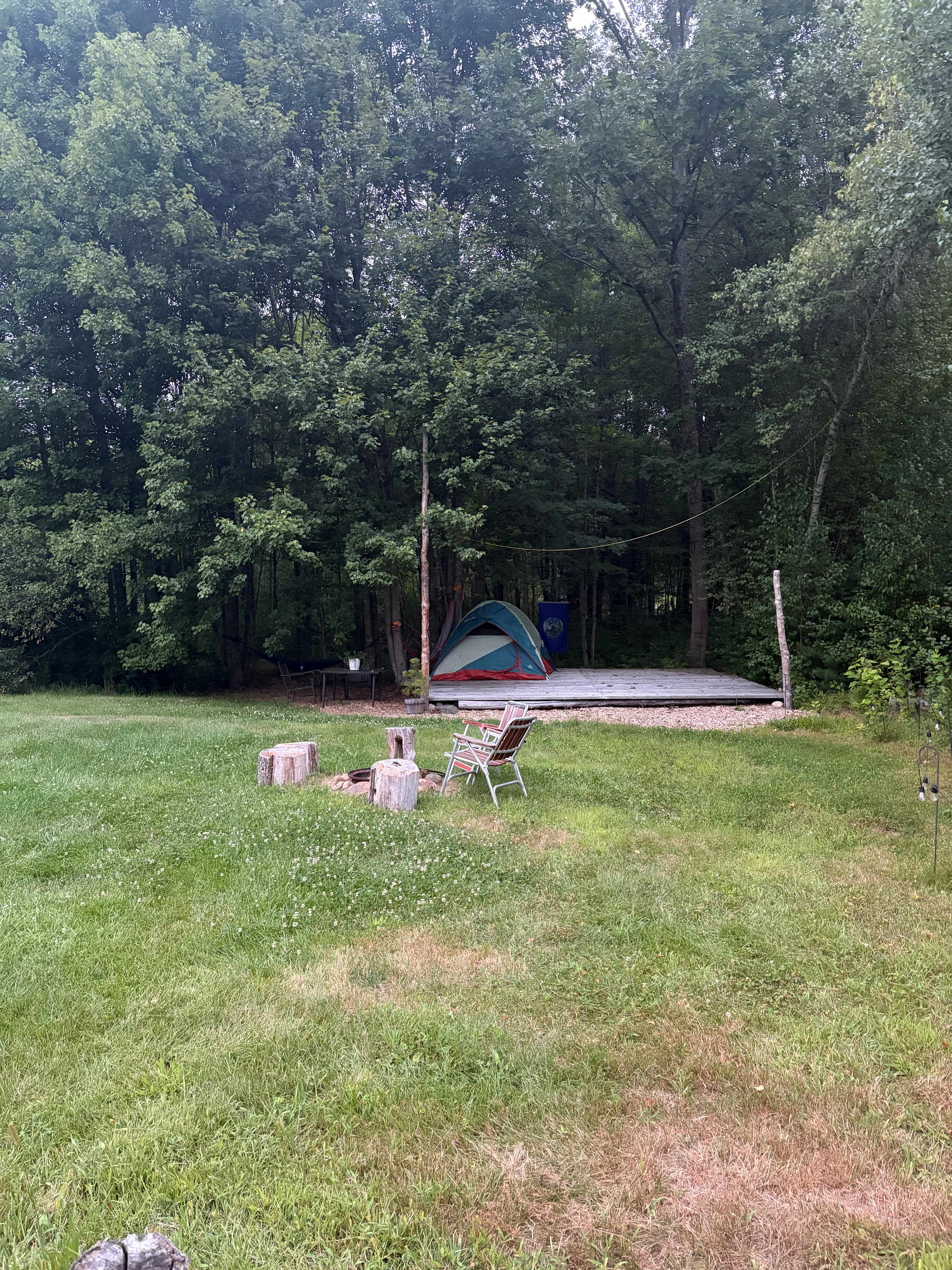 Camp Frogginton