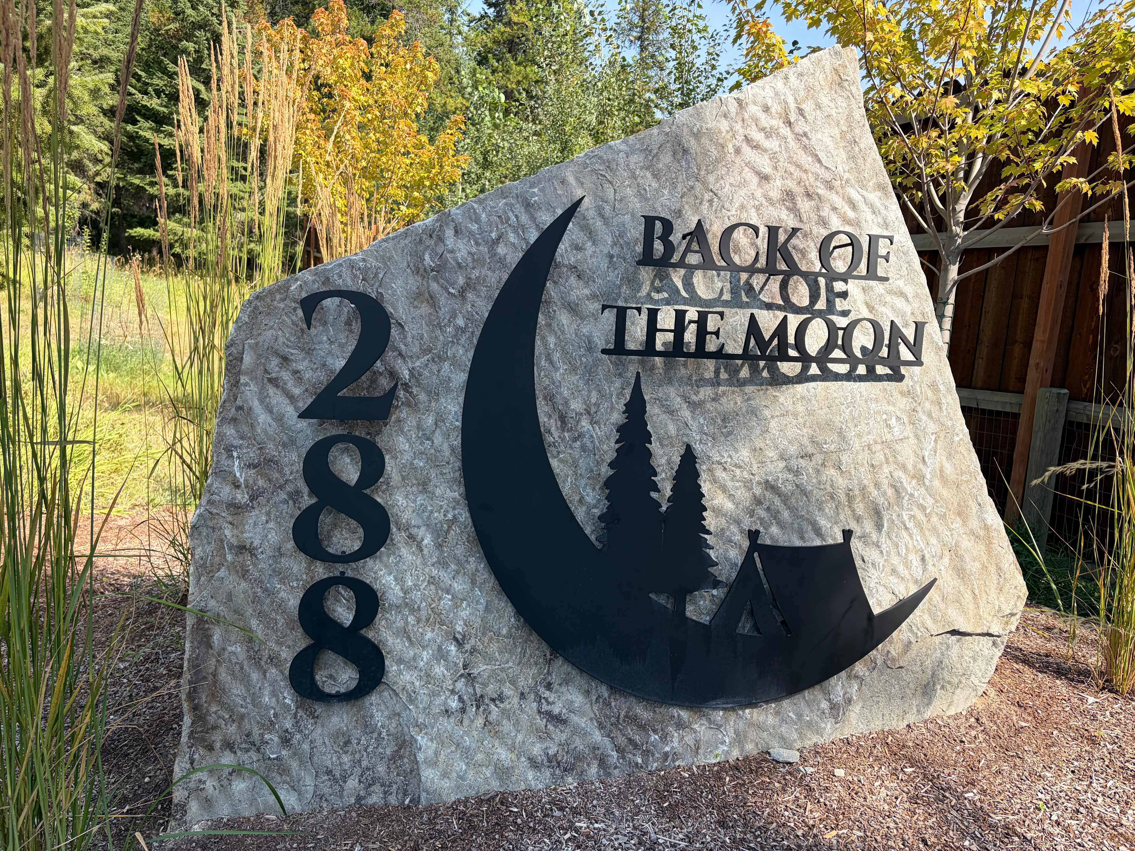 Back Of The Moon