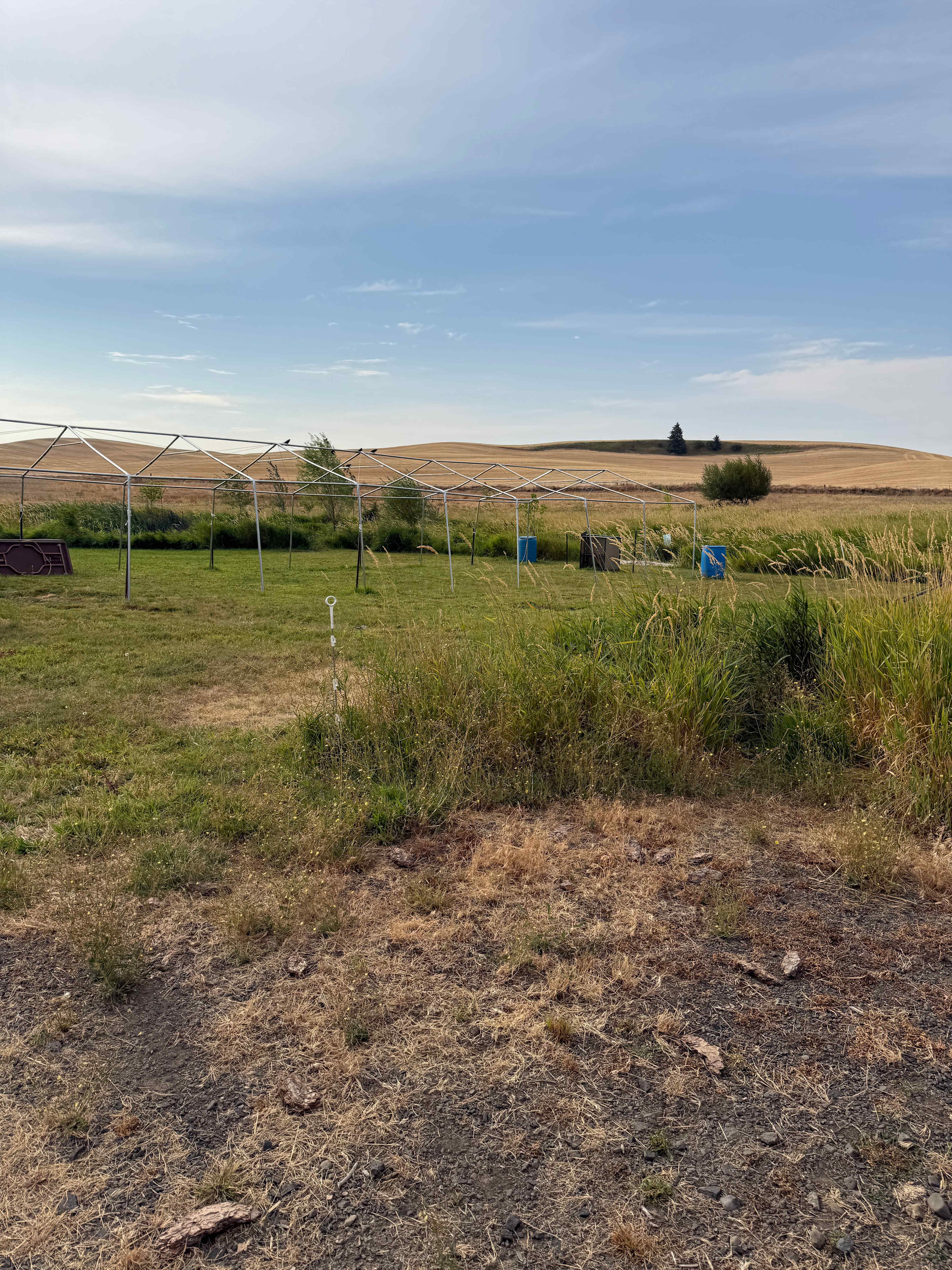 The Old Weber Farm