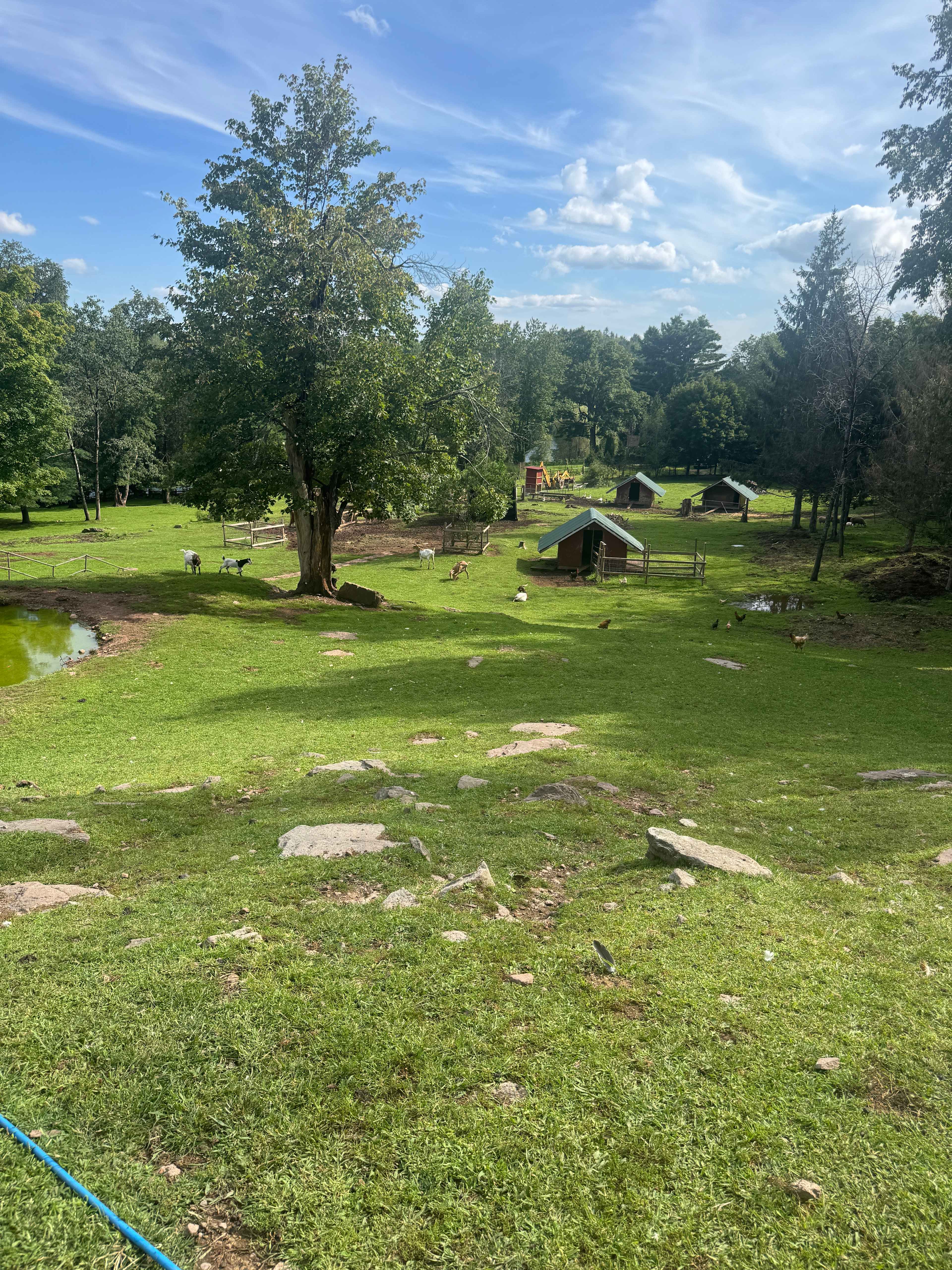 BeaverWood Farm (no children)