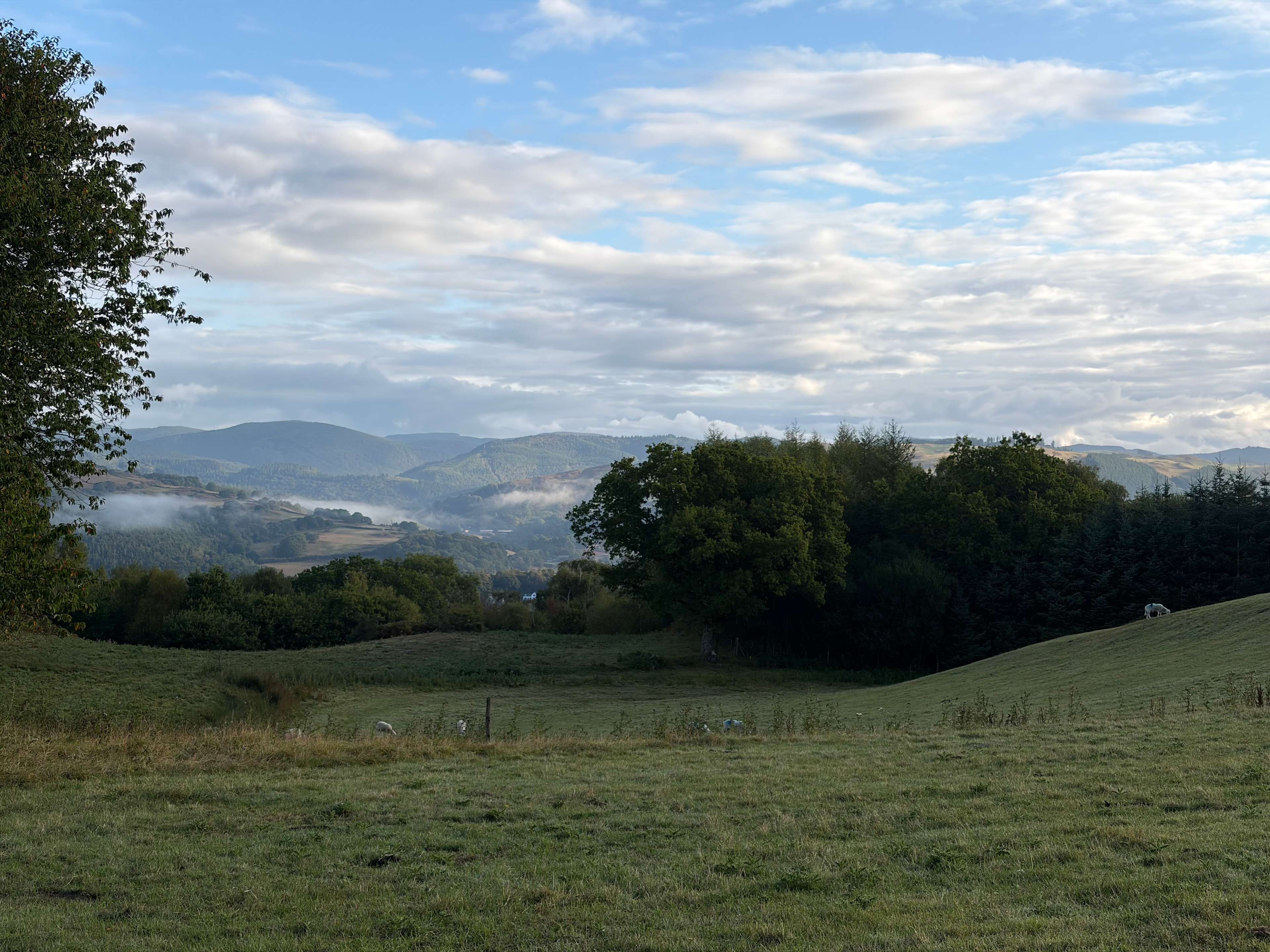 Gwersyllfa Glyndŵr Campsite