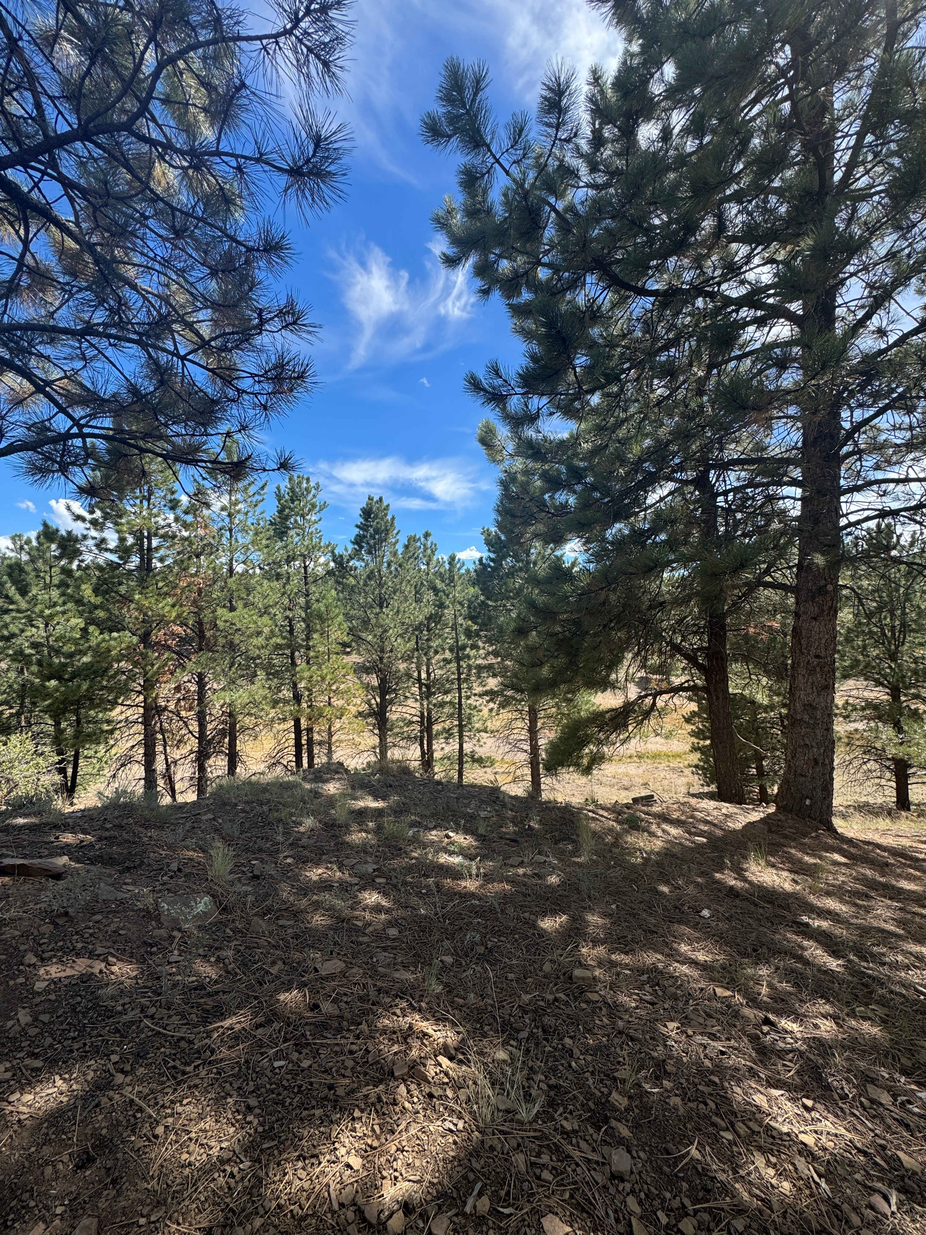 Enchanted Circle Campground (E<<)