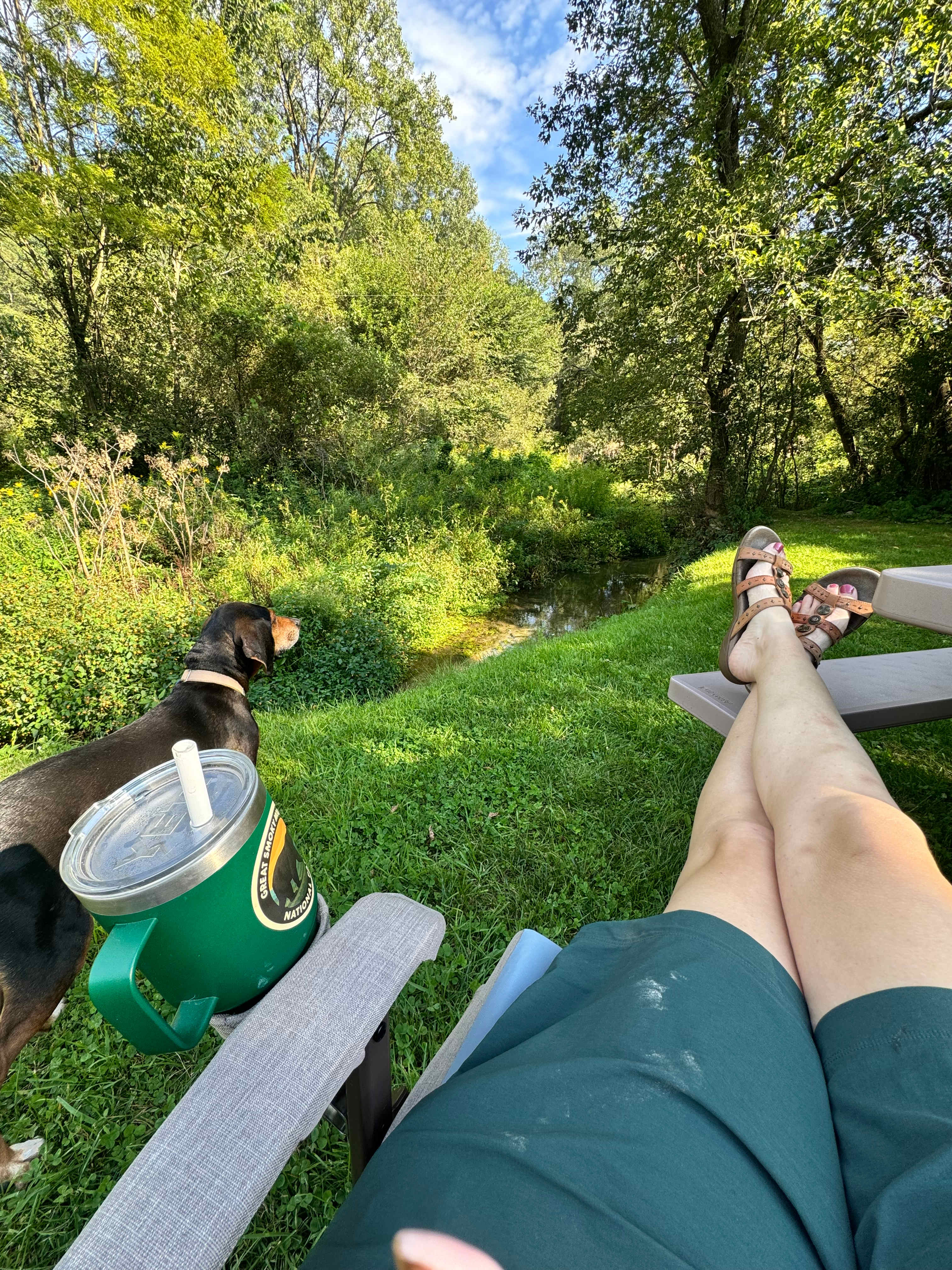Relaxing next to the brook.