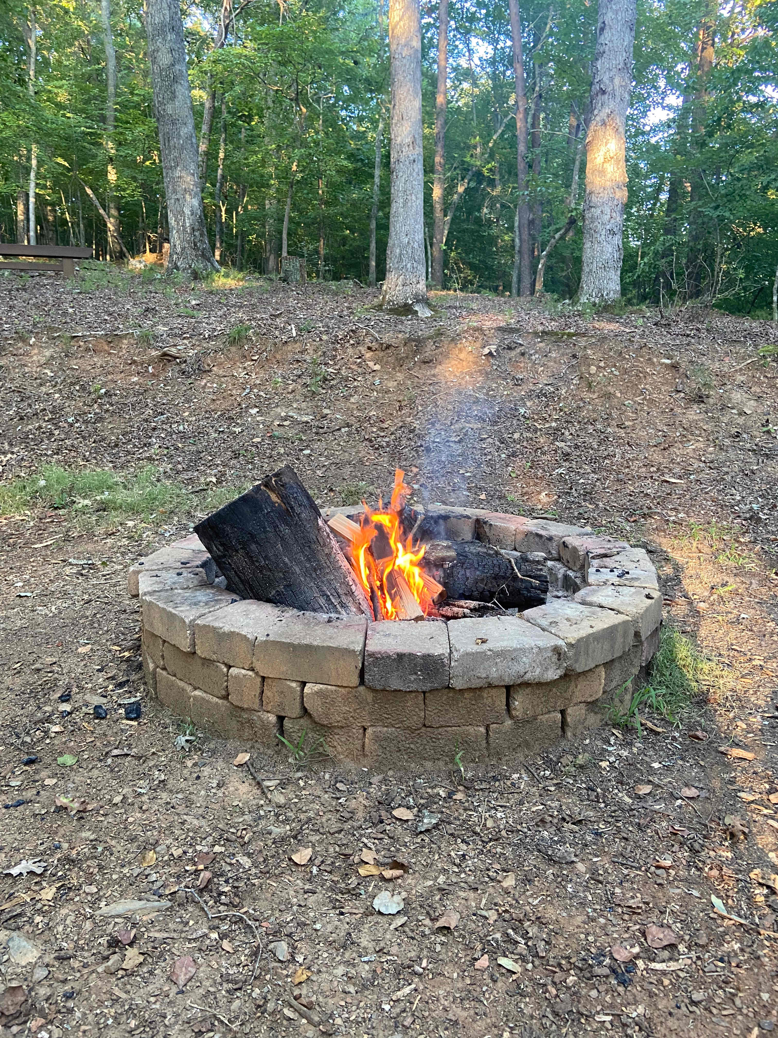 Your Toccoa River Cove!