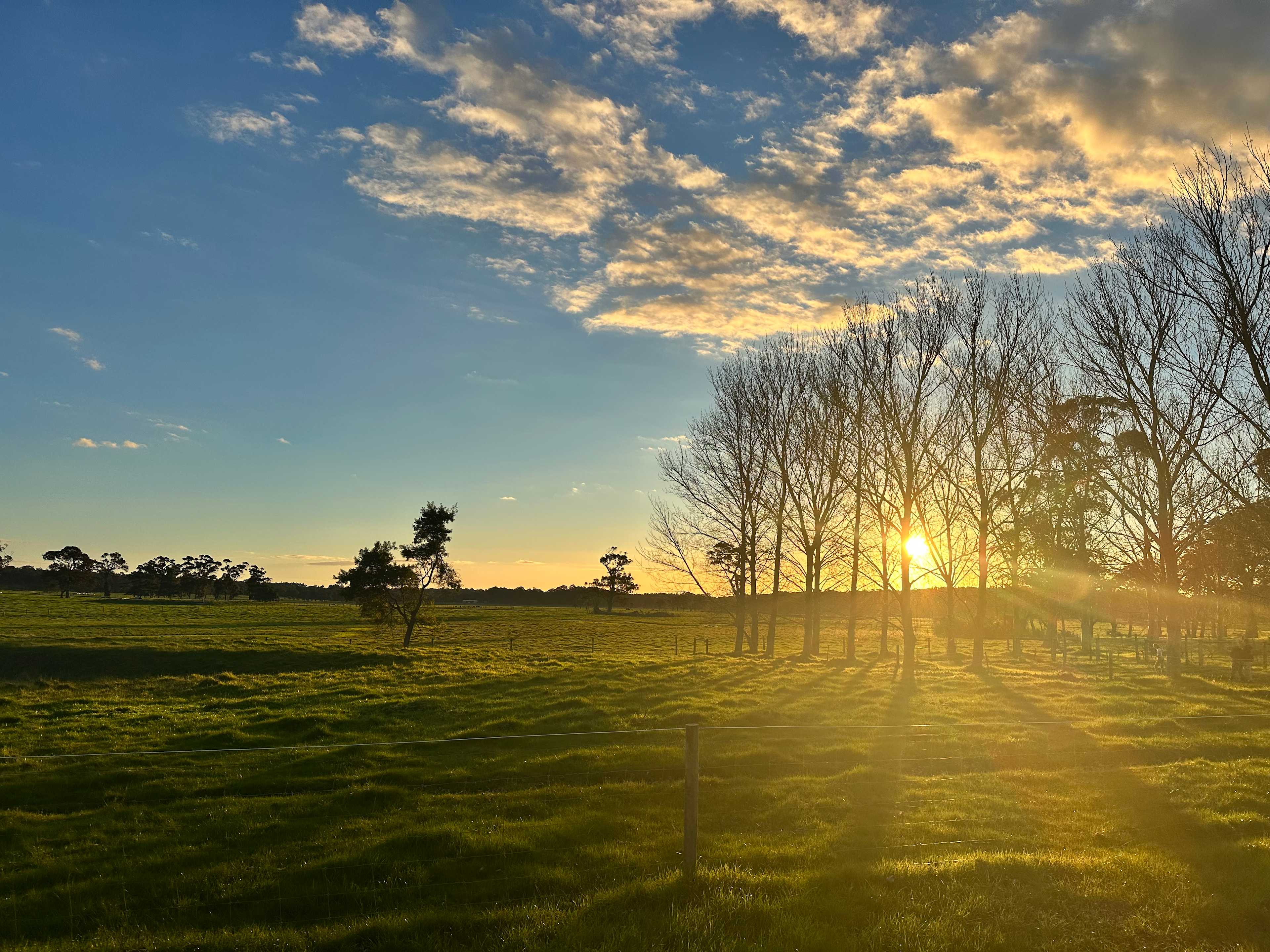 Beautiful Sunrise