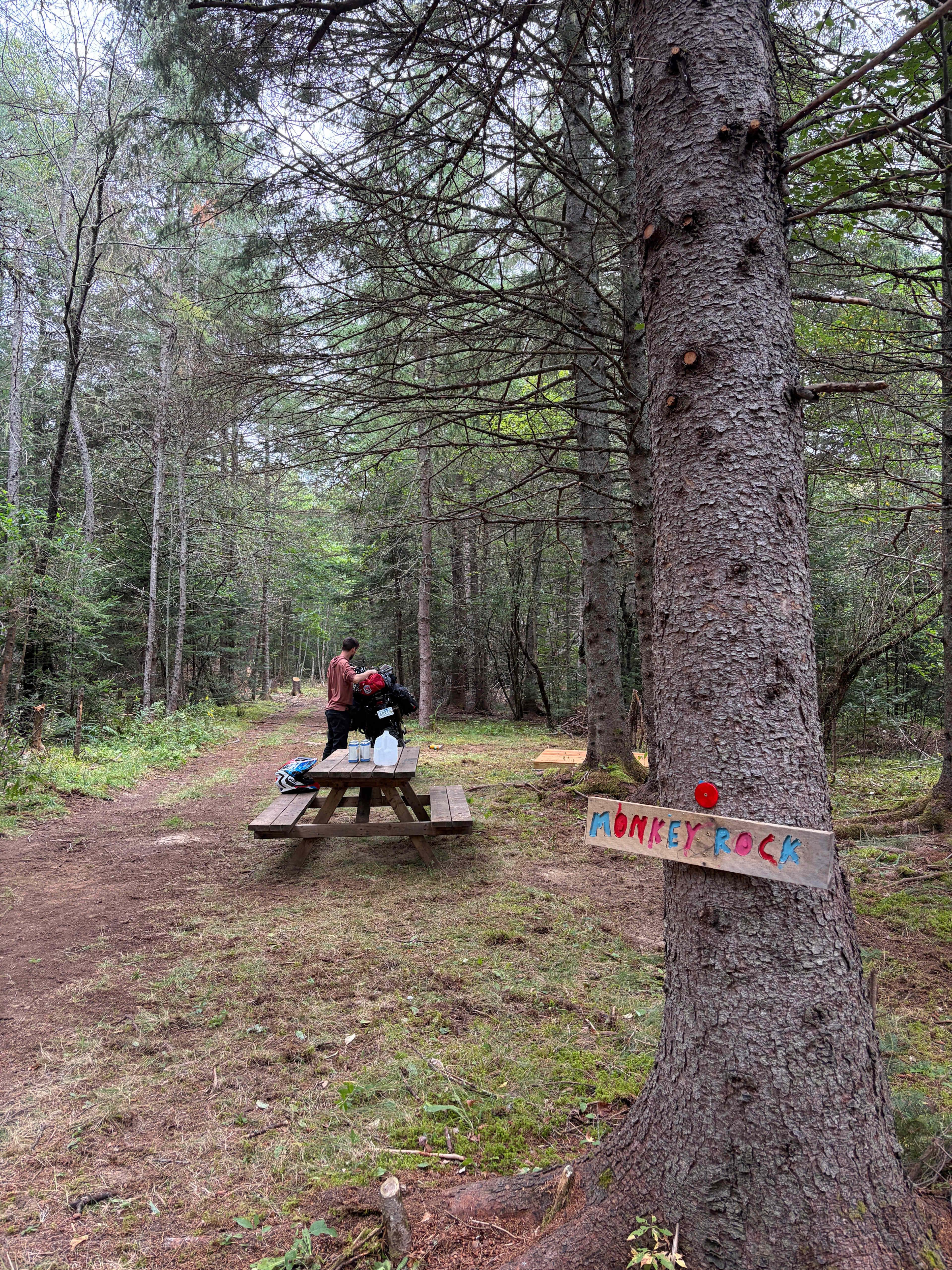 Picture of the site