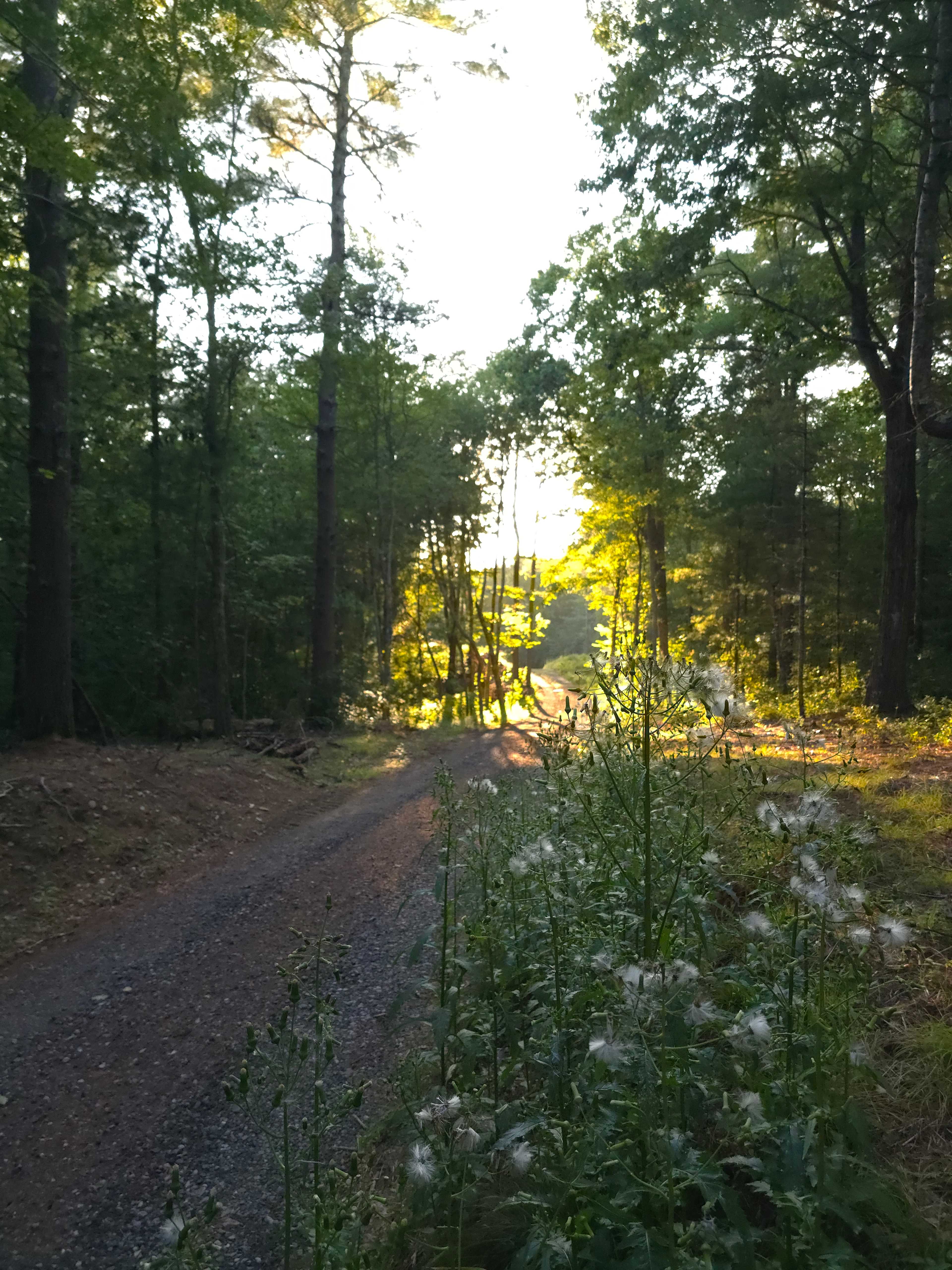 Terrybrook