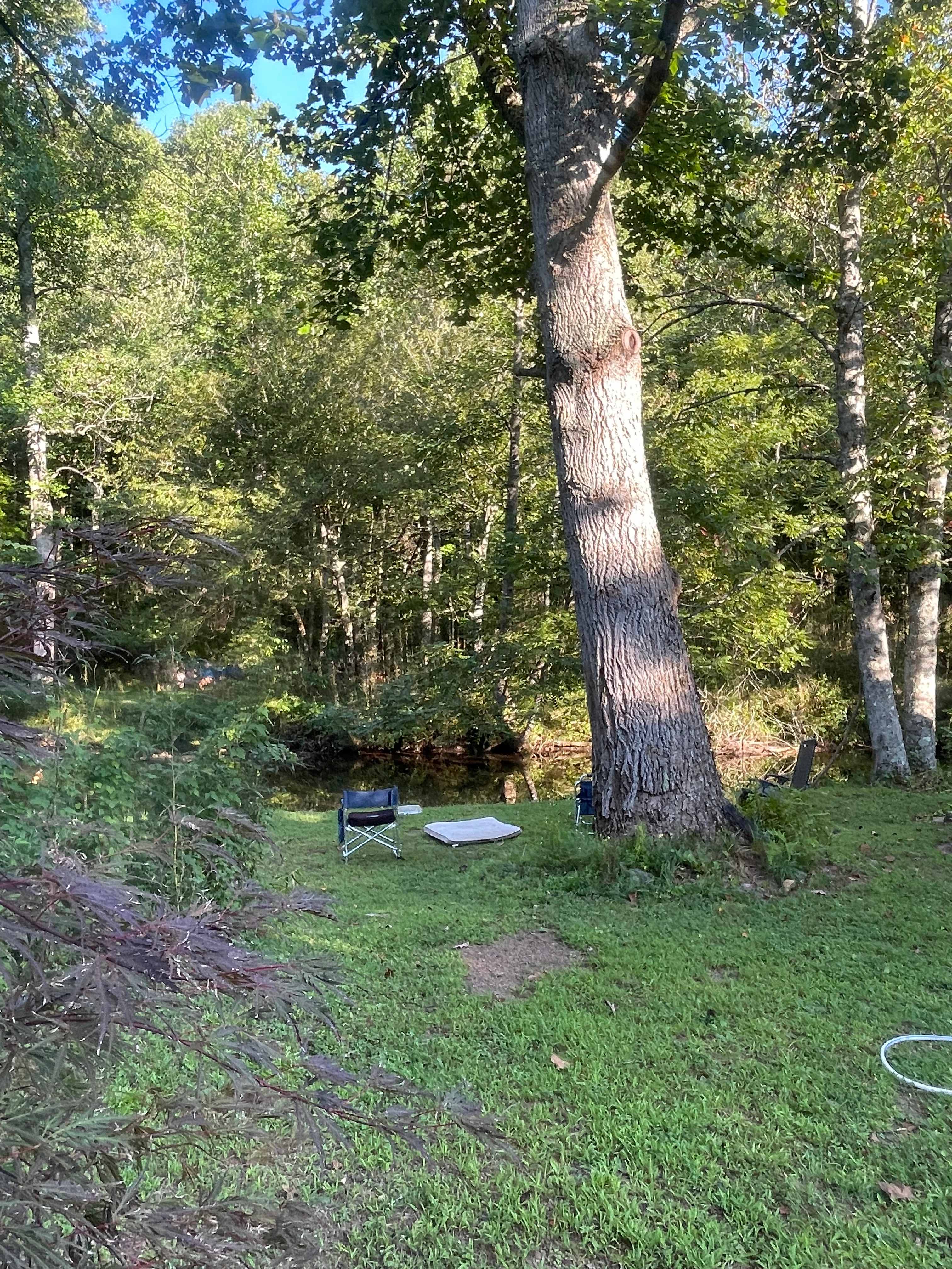 Coweeta Creek Campground