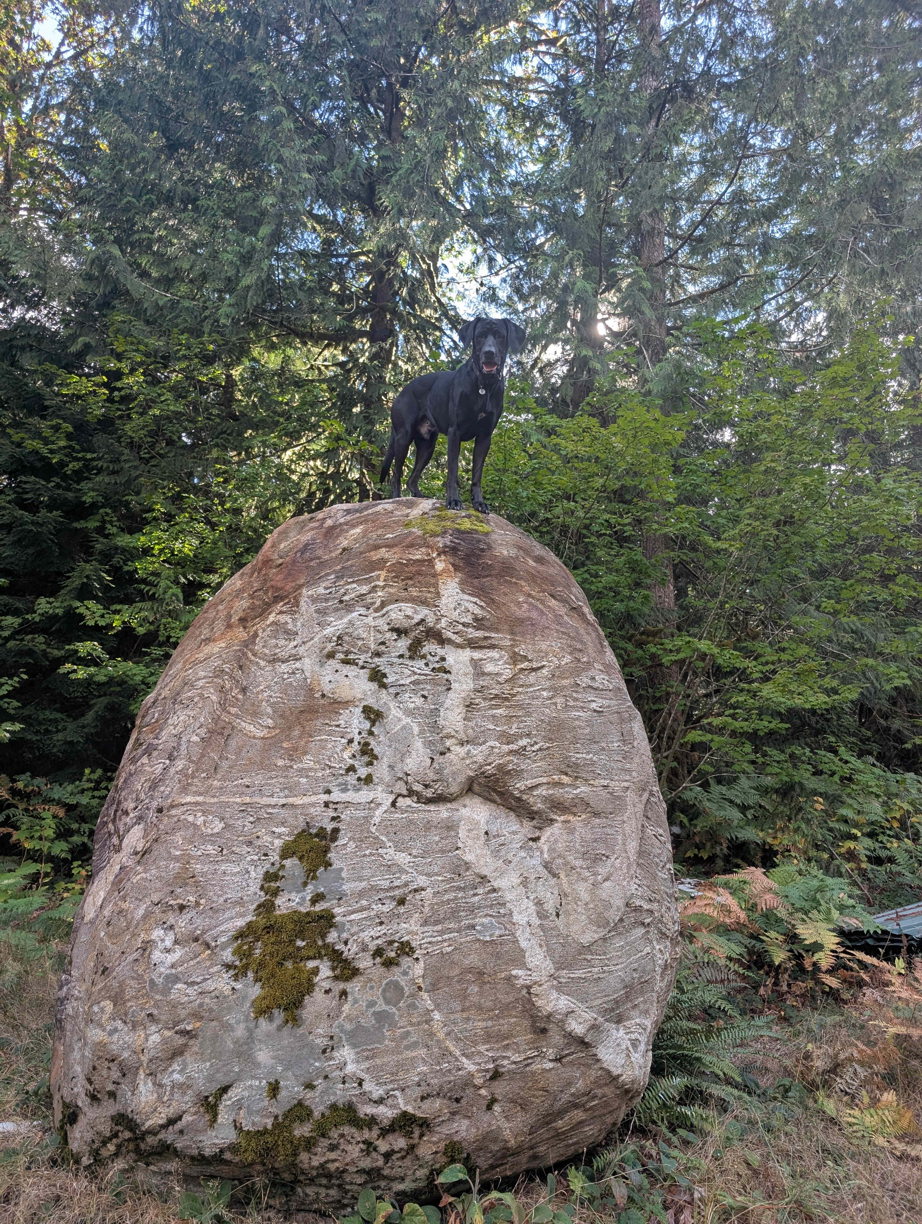 Buster's on the Sauk River