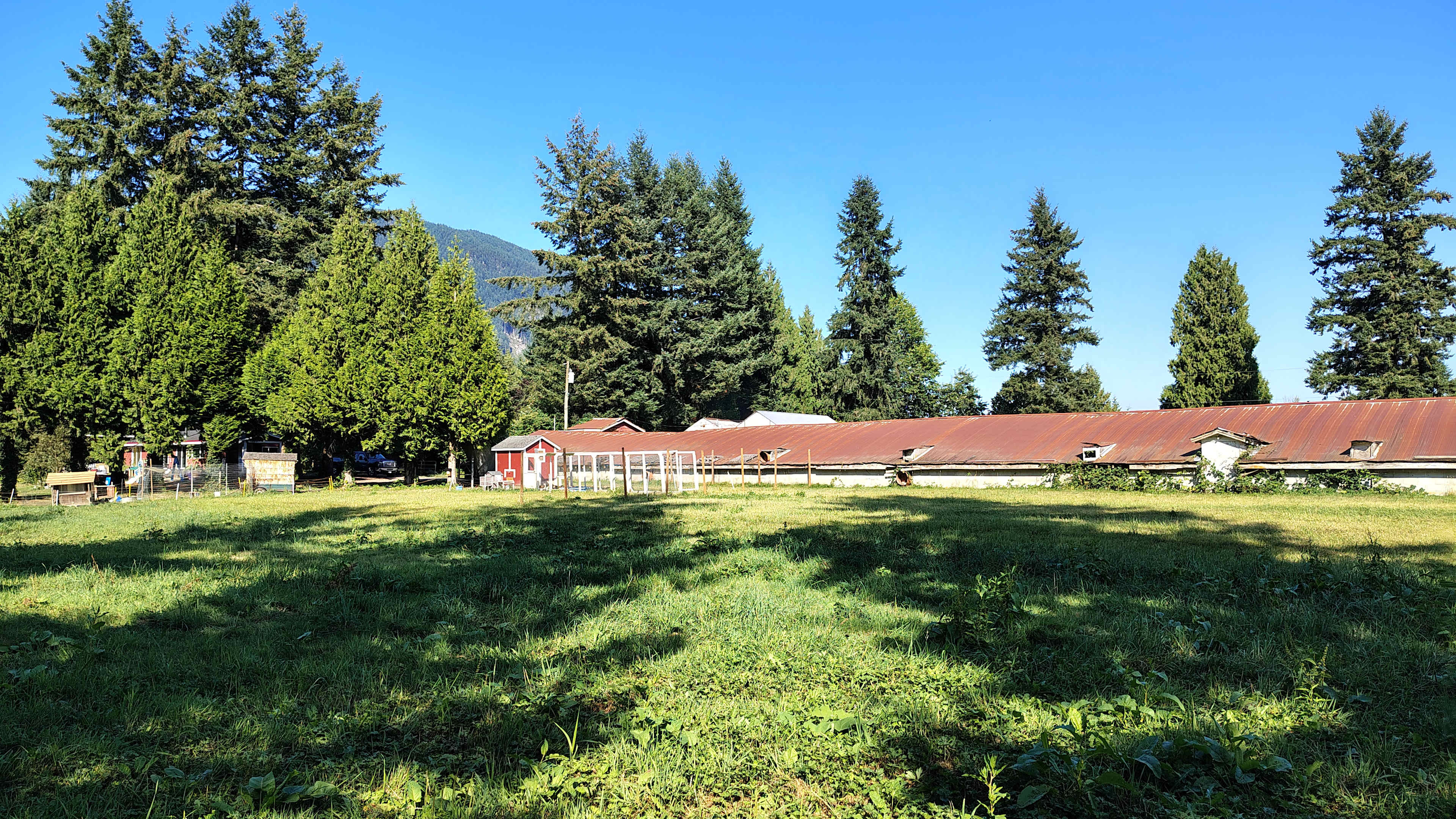 Hatzic Island Acres