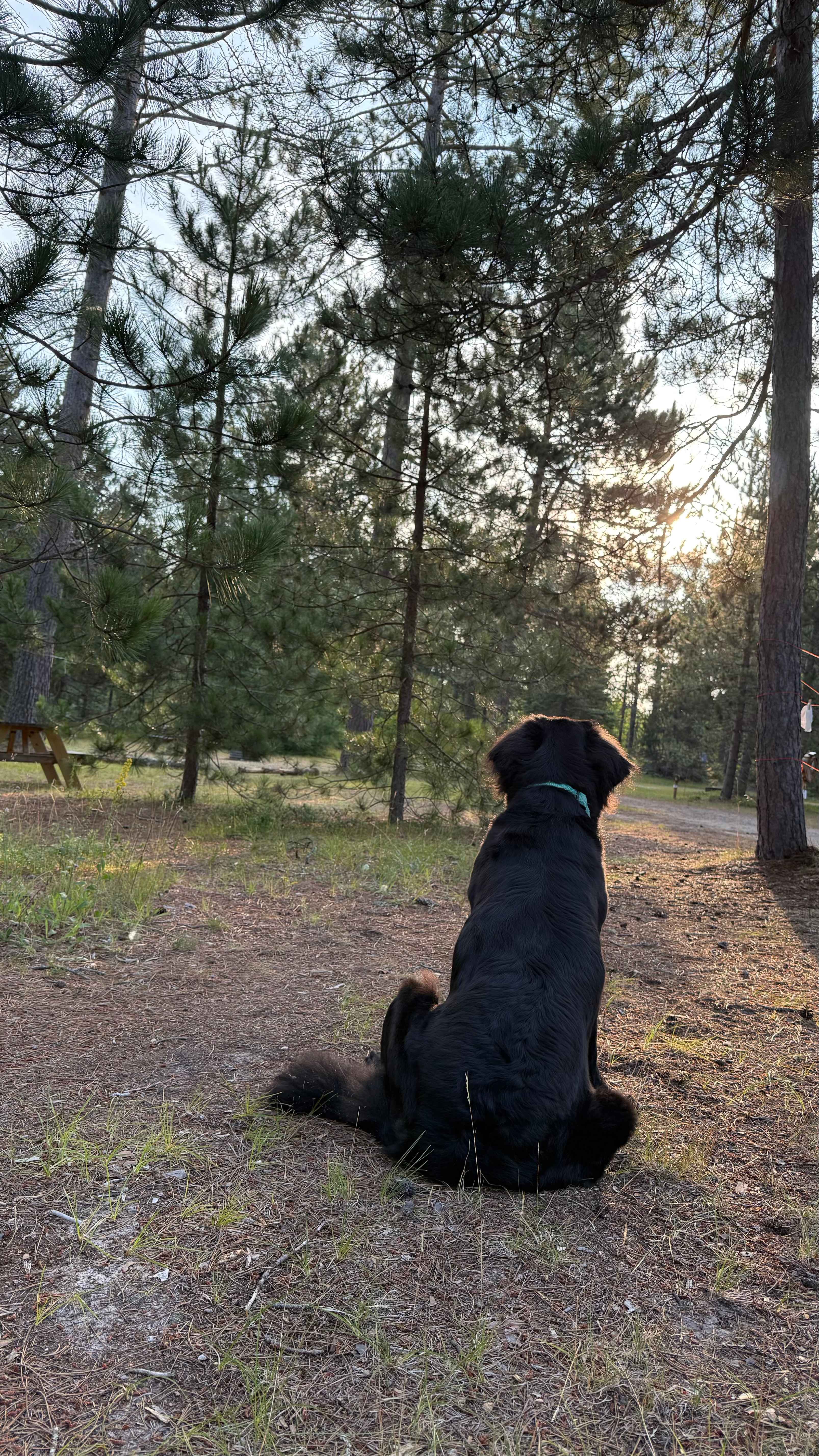 An amazing place to wake up 
