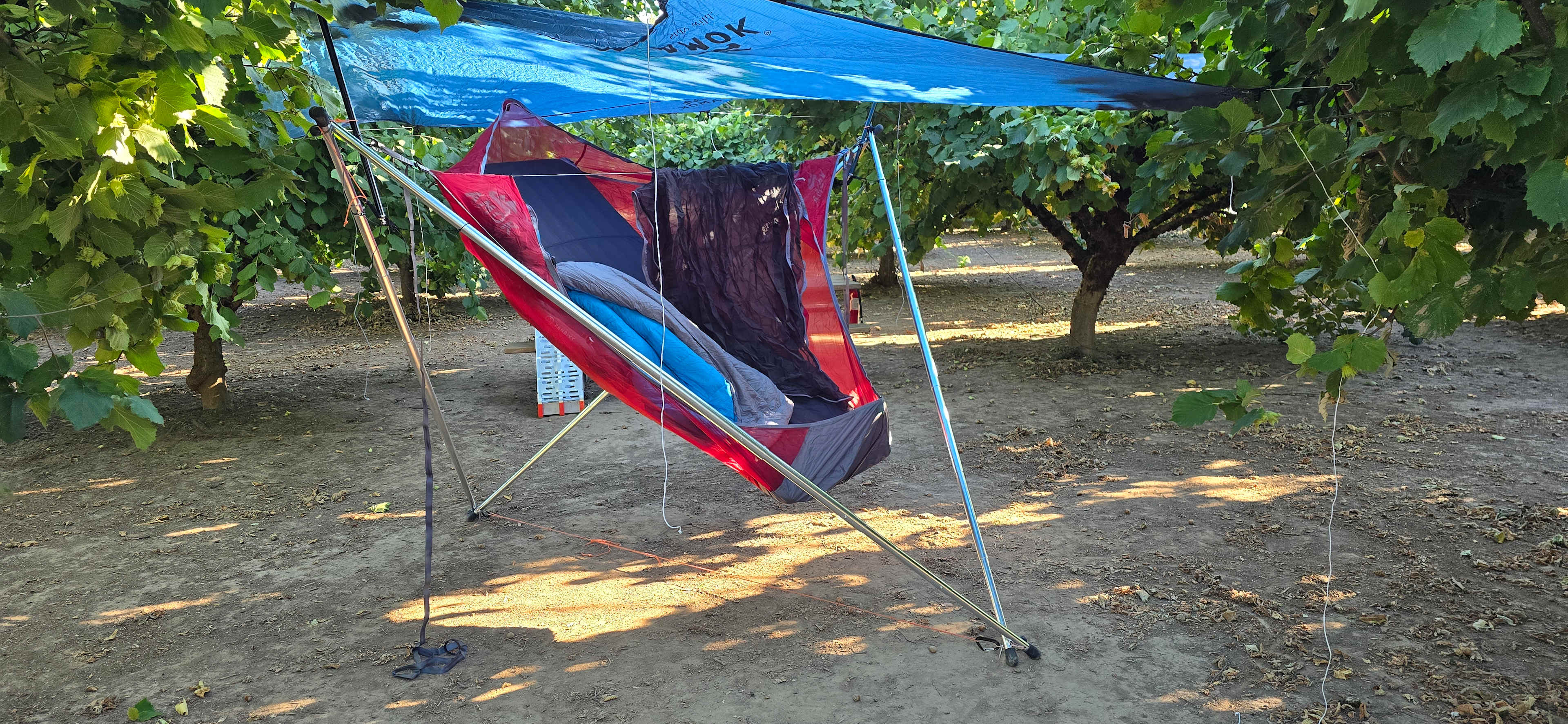 Tranquil Orchard and Wine Tours