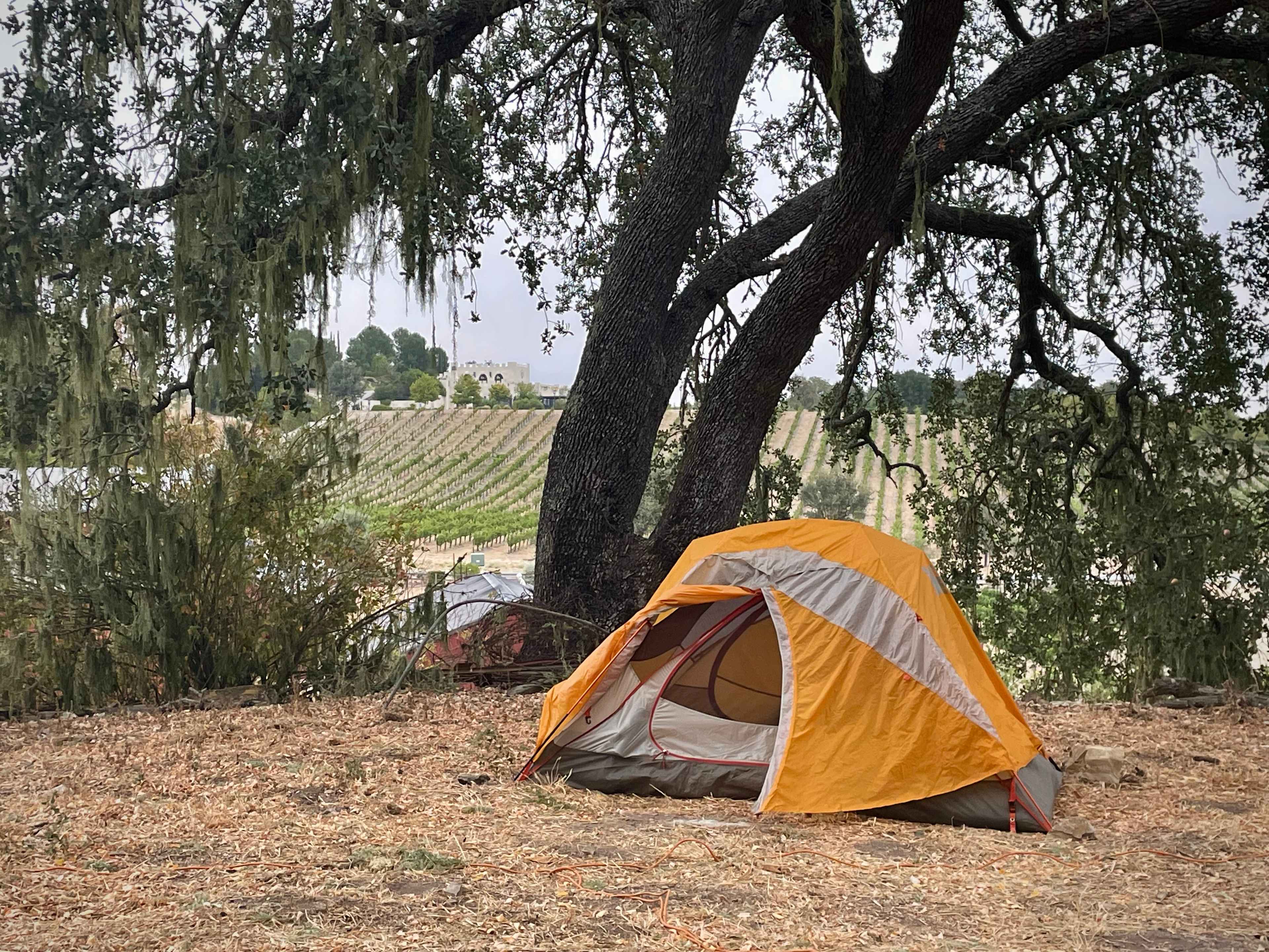 Dark Star Cellars