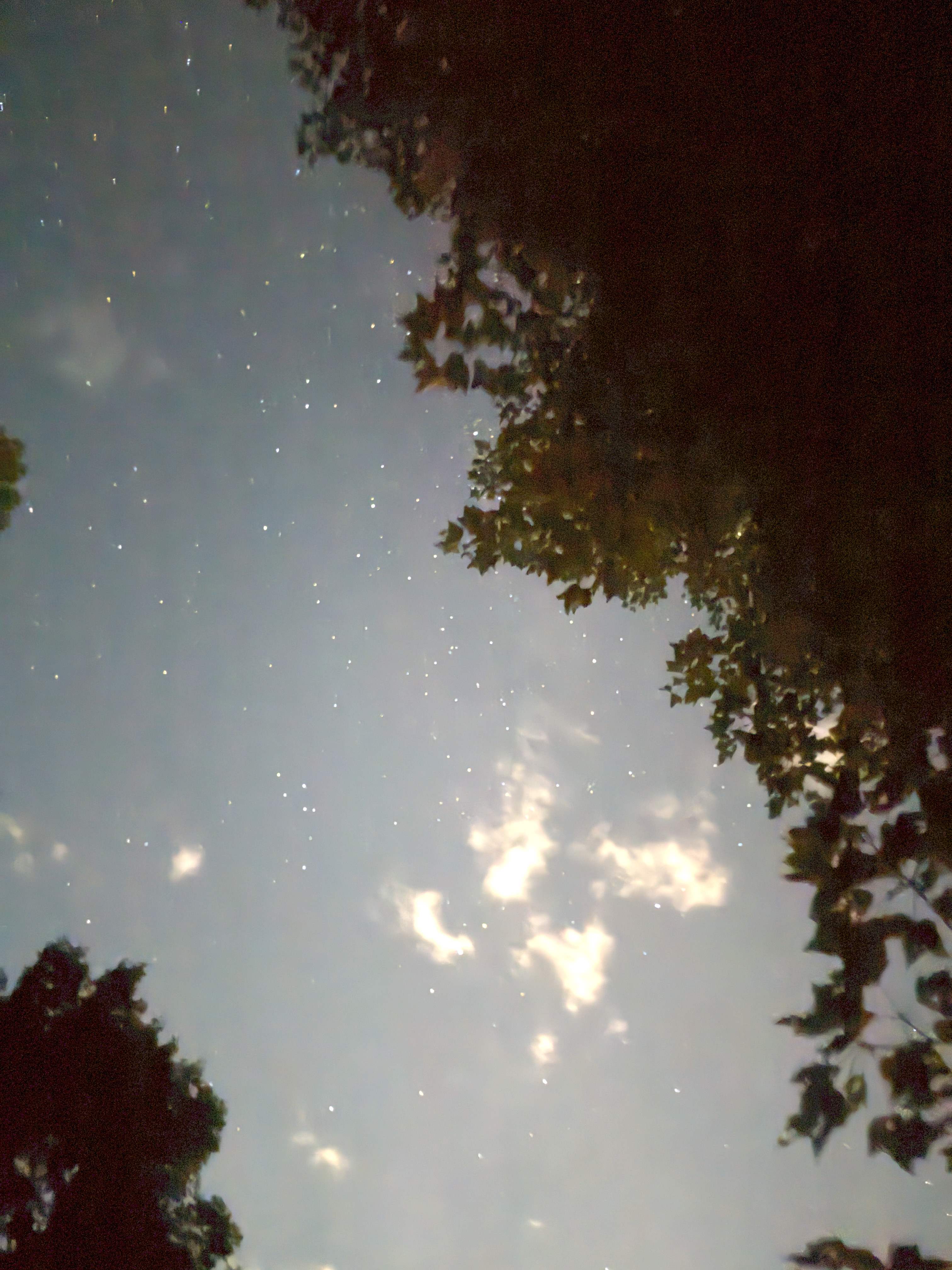 Star gazing 