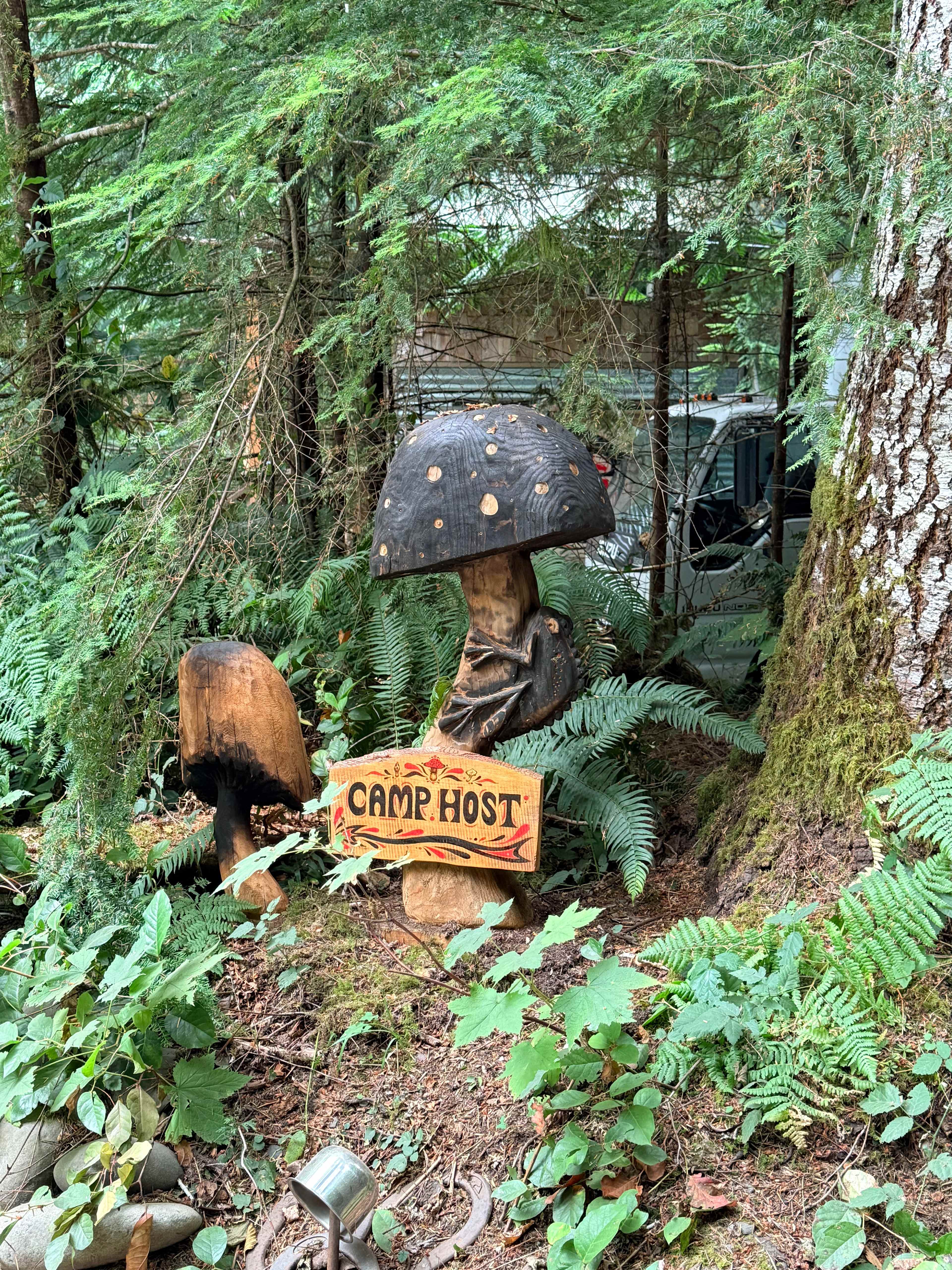 sol duc rainforest retreat
