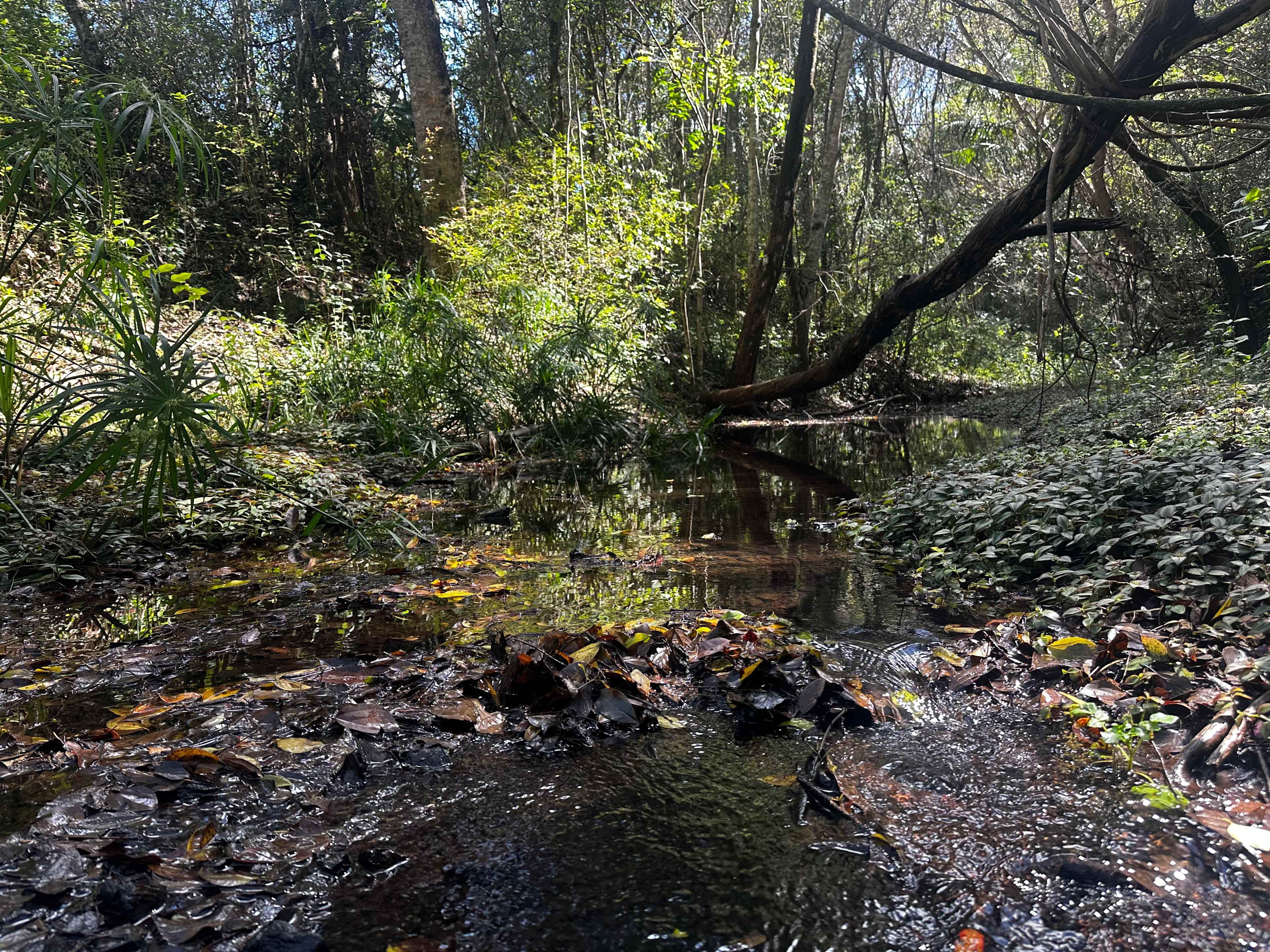 Creekside Camping Amamoor