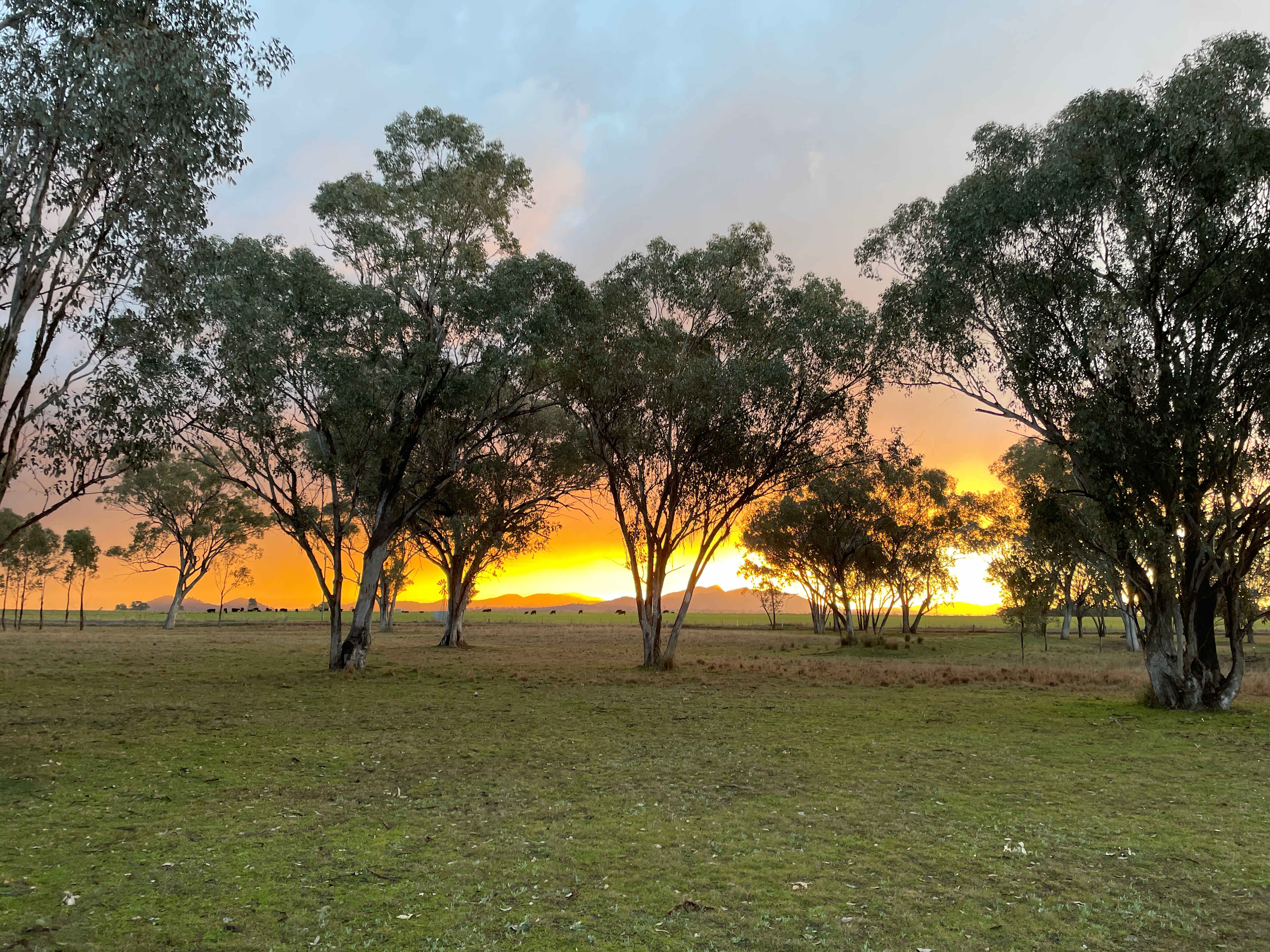 Edgecote Camping