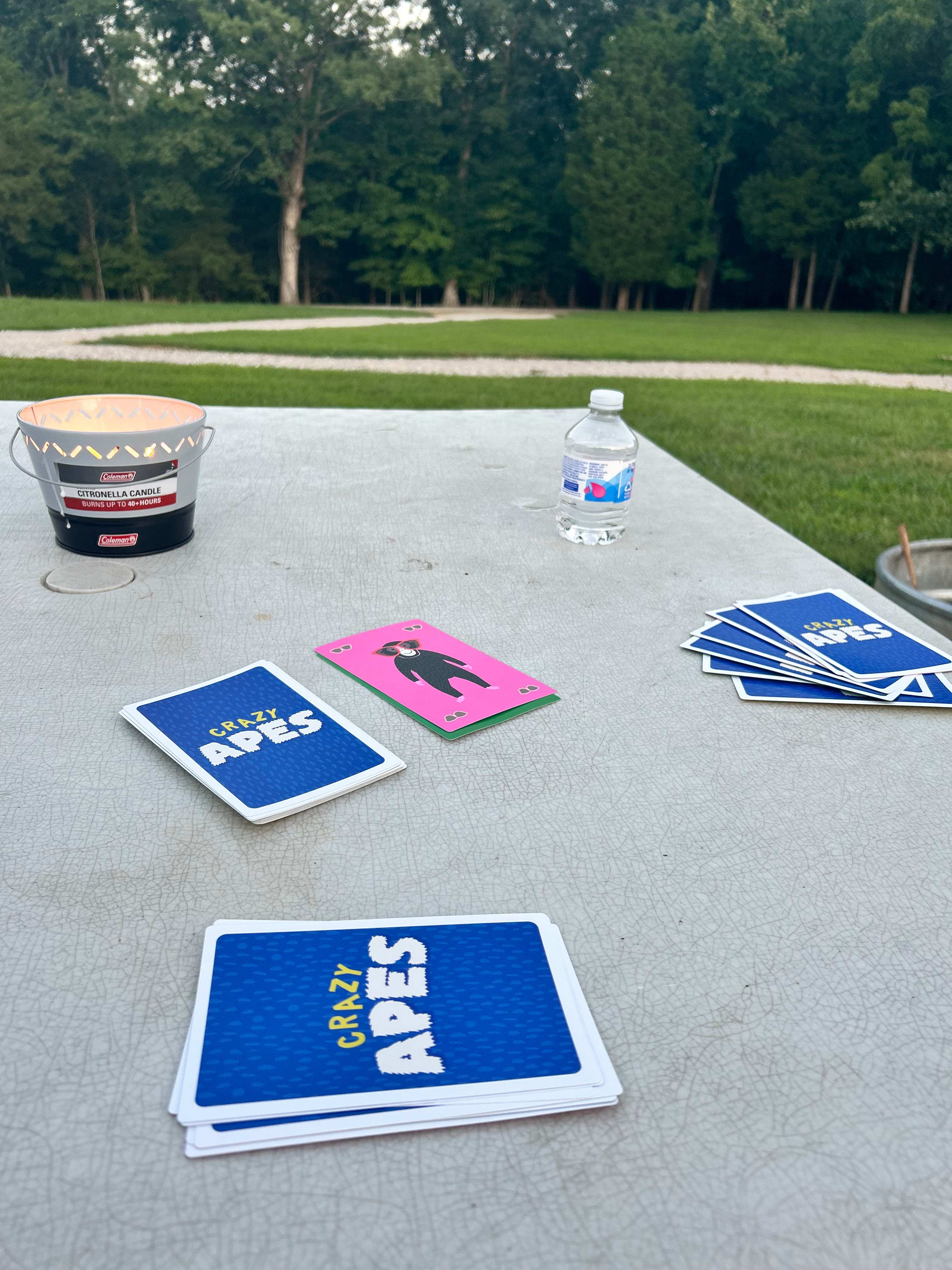 Quick fun game to play while taking in the beauty around us