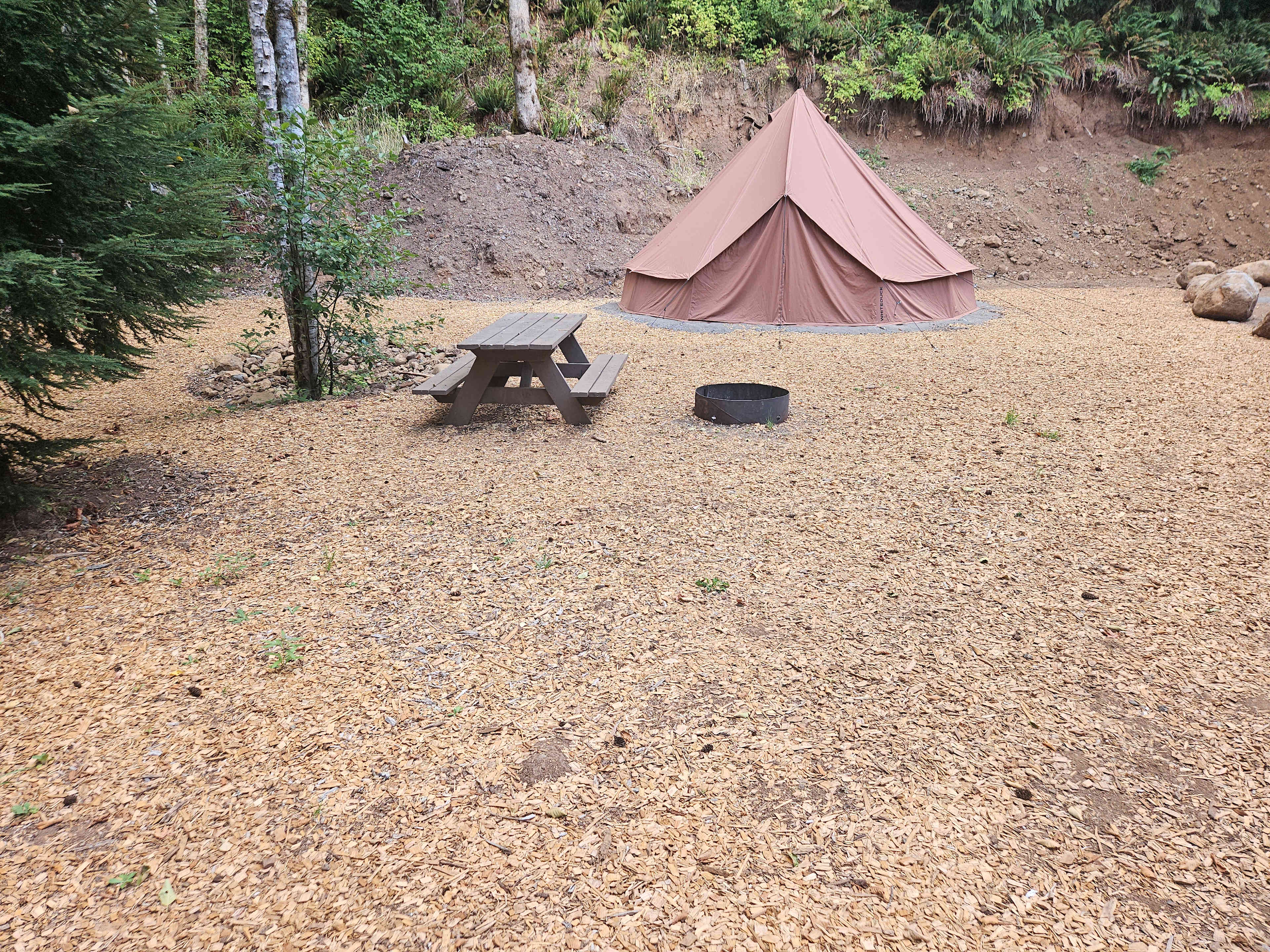 Picture of the site