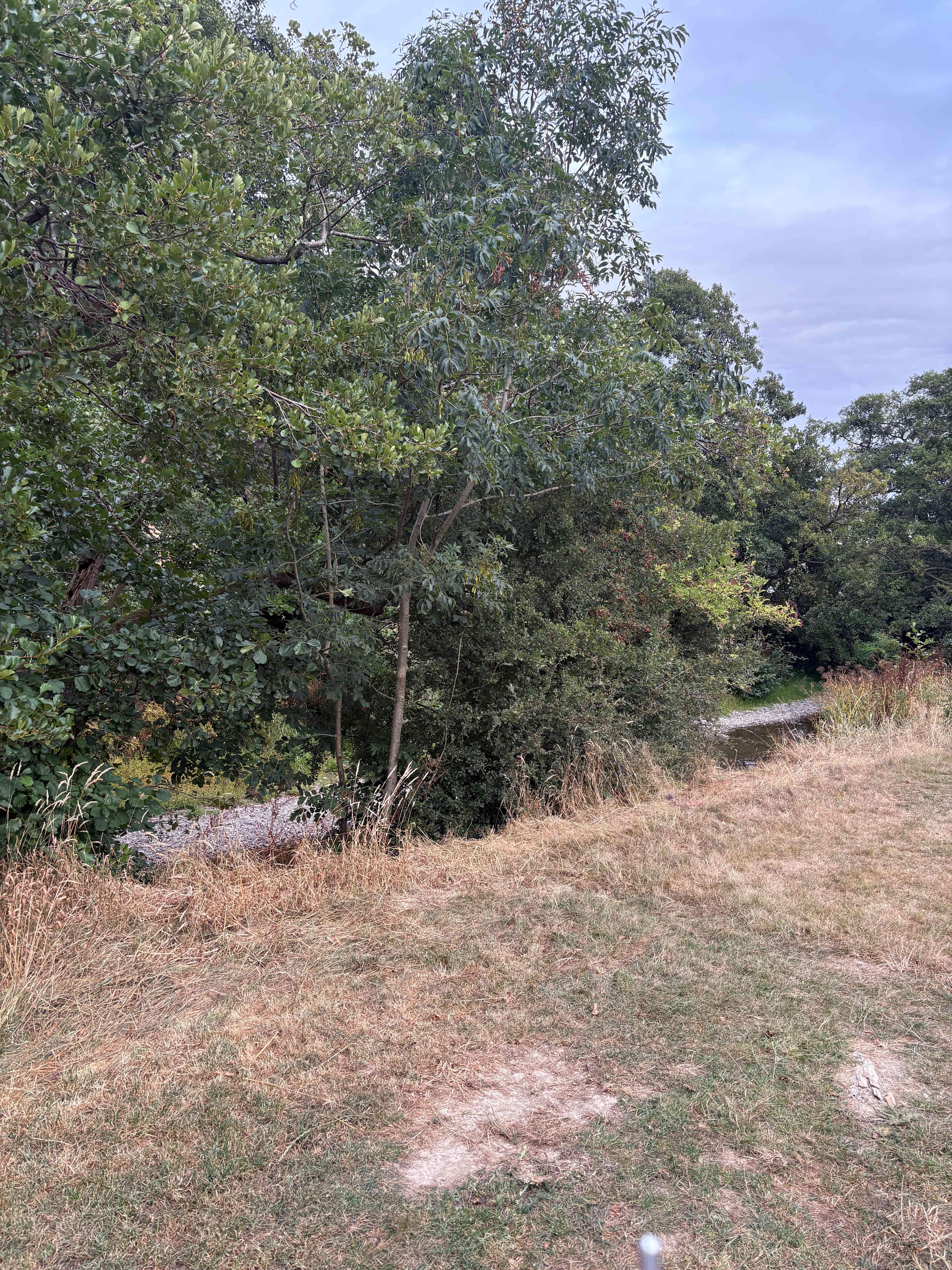 Panpwnton Campsite