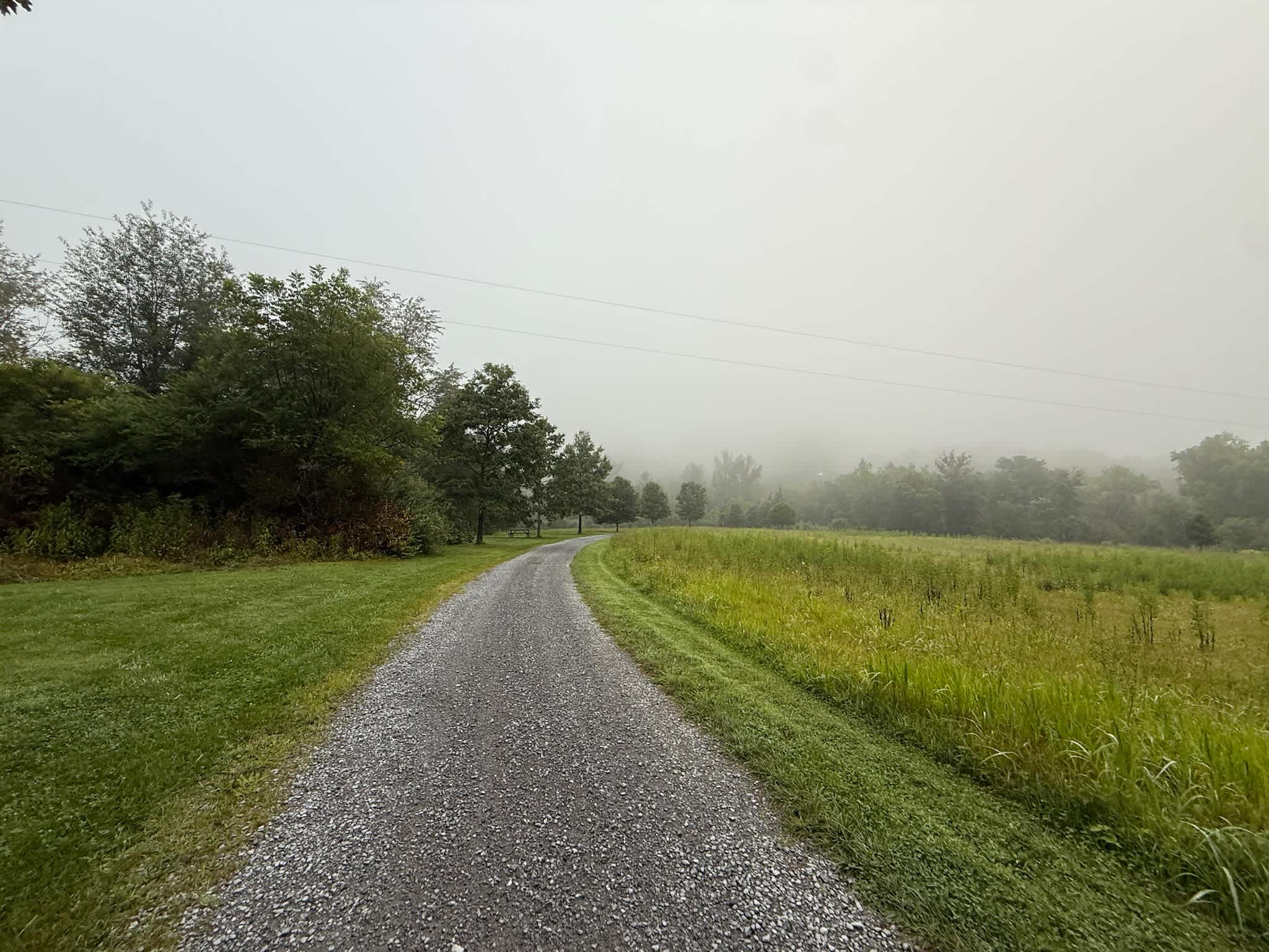 Trail to the bathroom