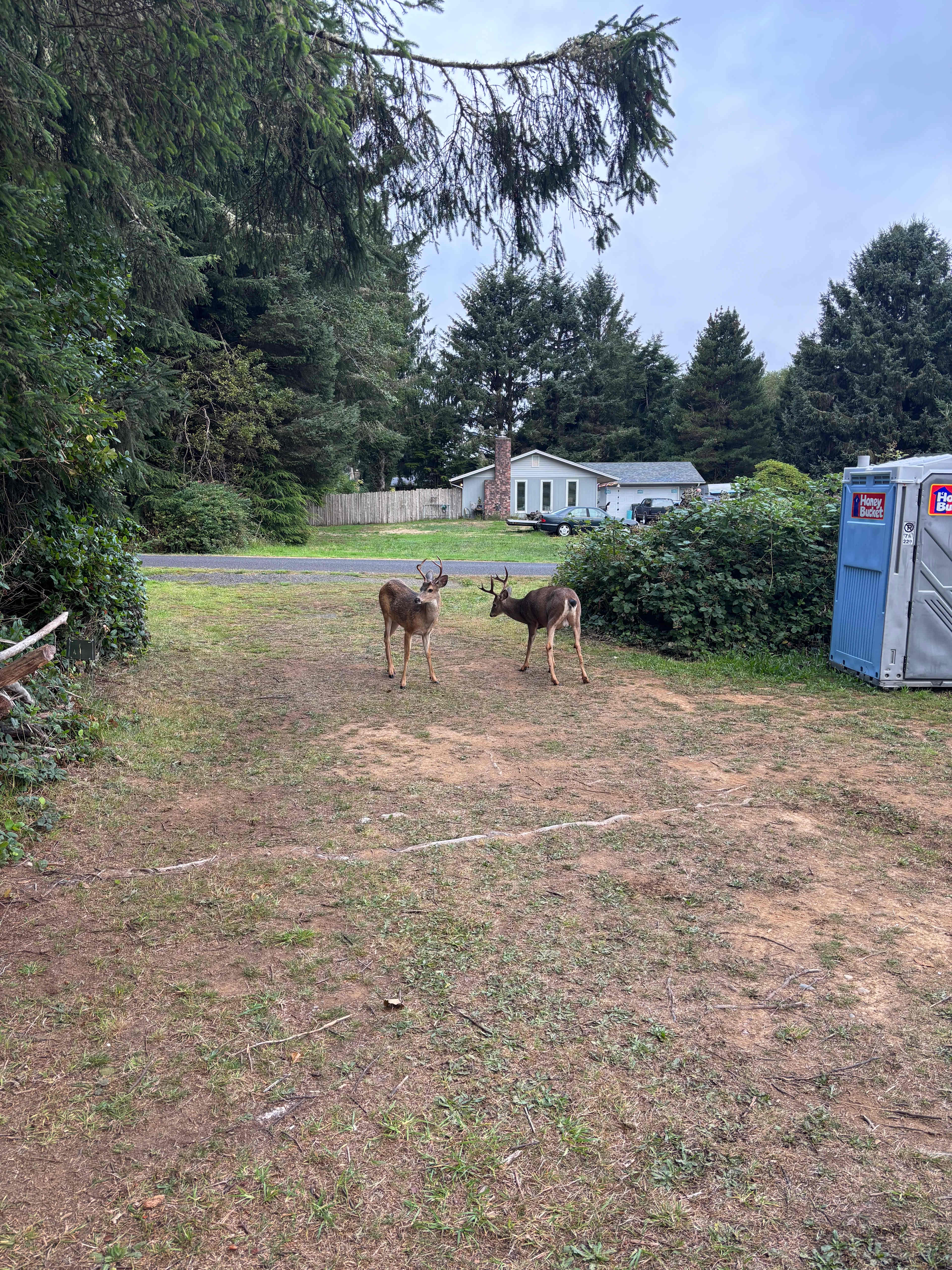 Friendly neighbors 