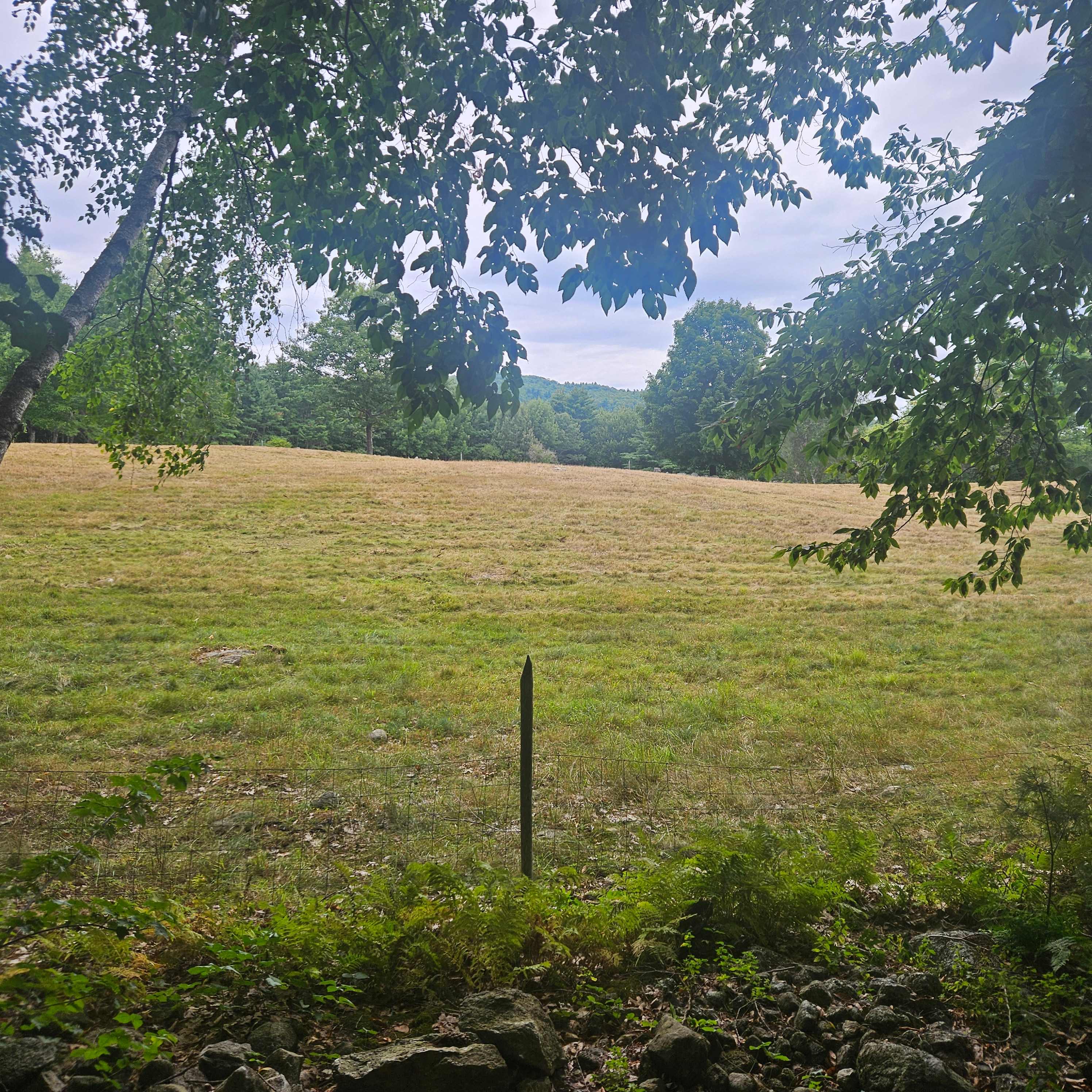 BrandiLee Woods at the Woolley farm