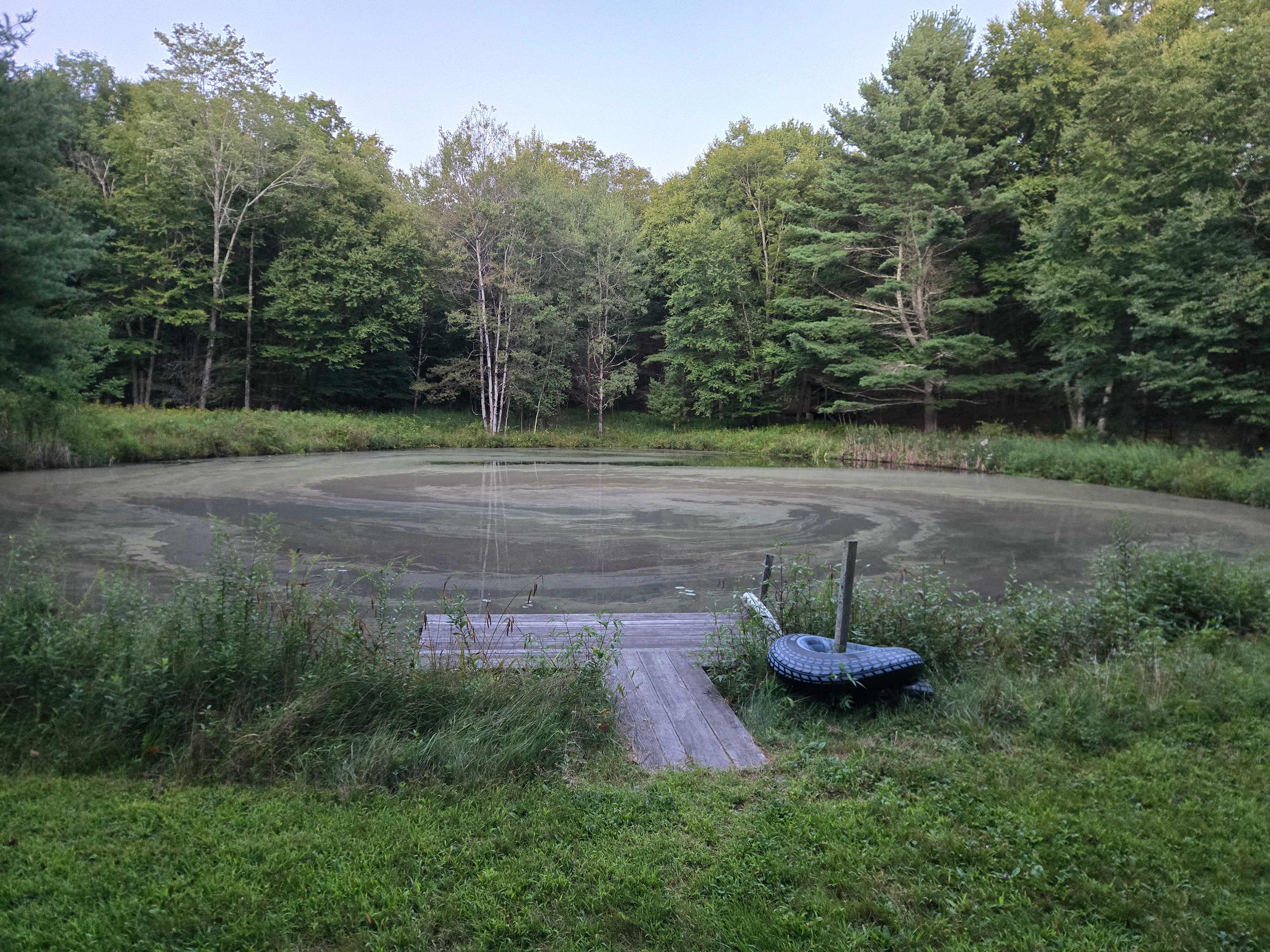 Frog Pond