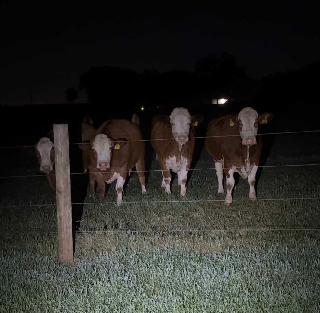 Shelmar Acres