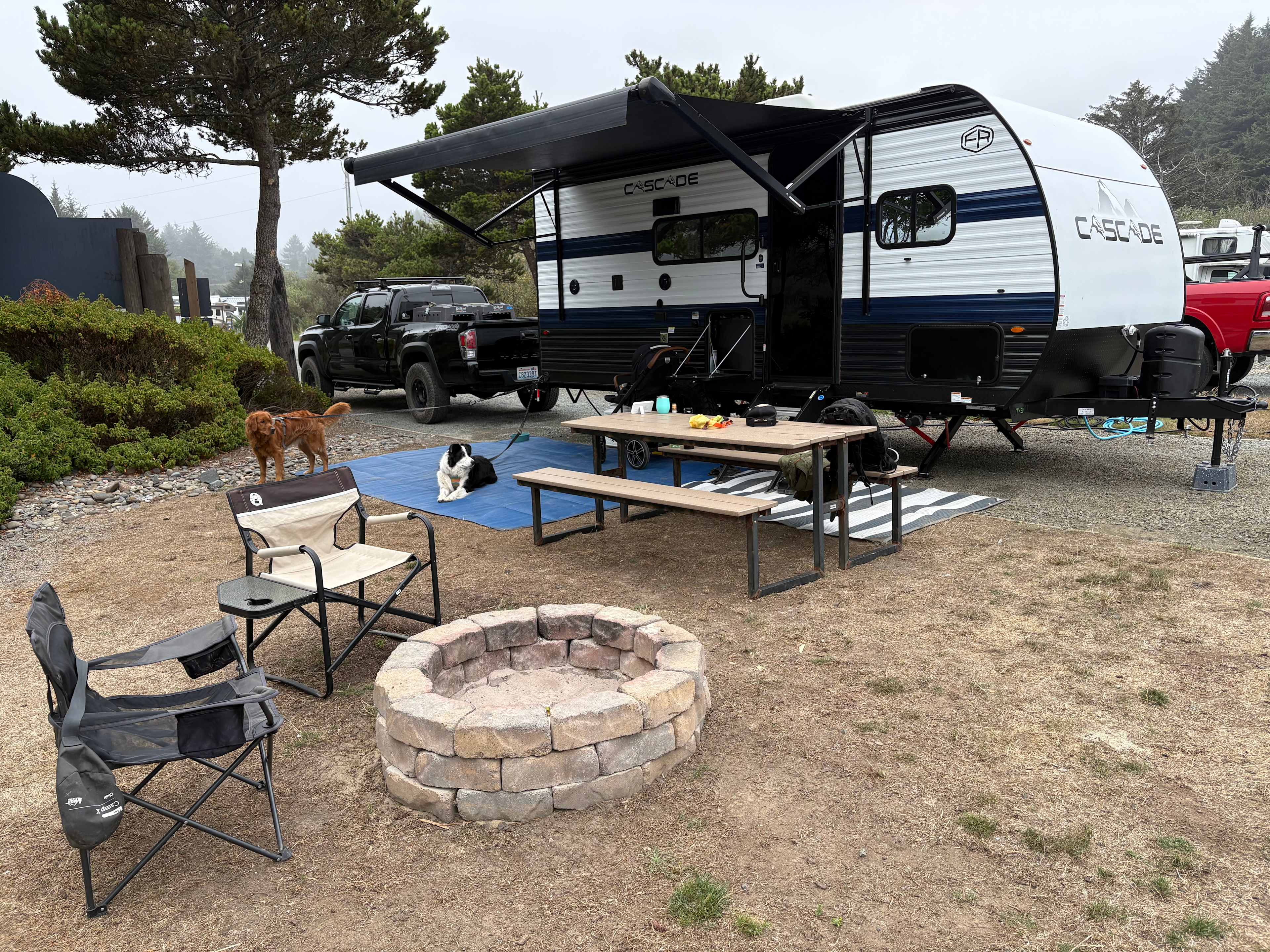 Site 55