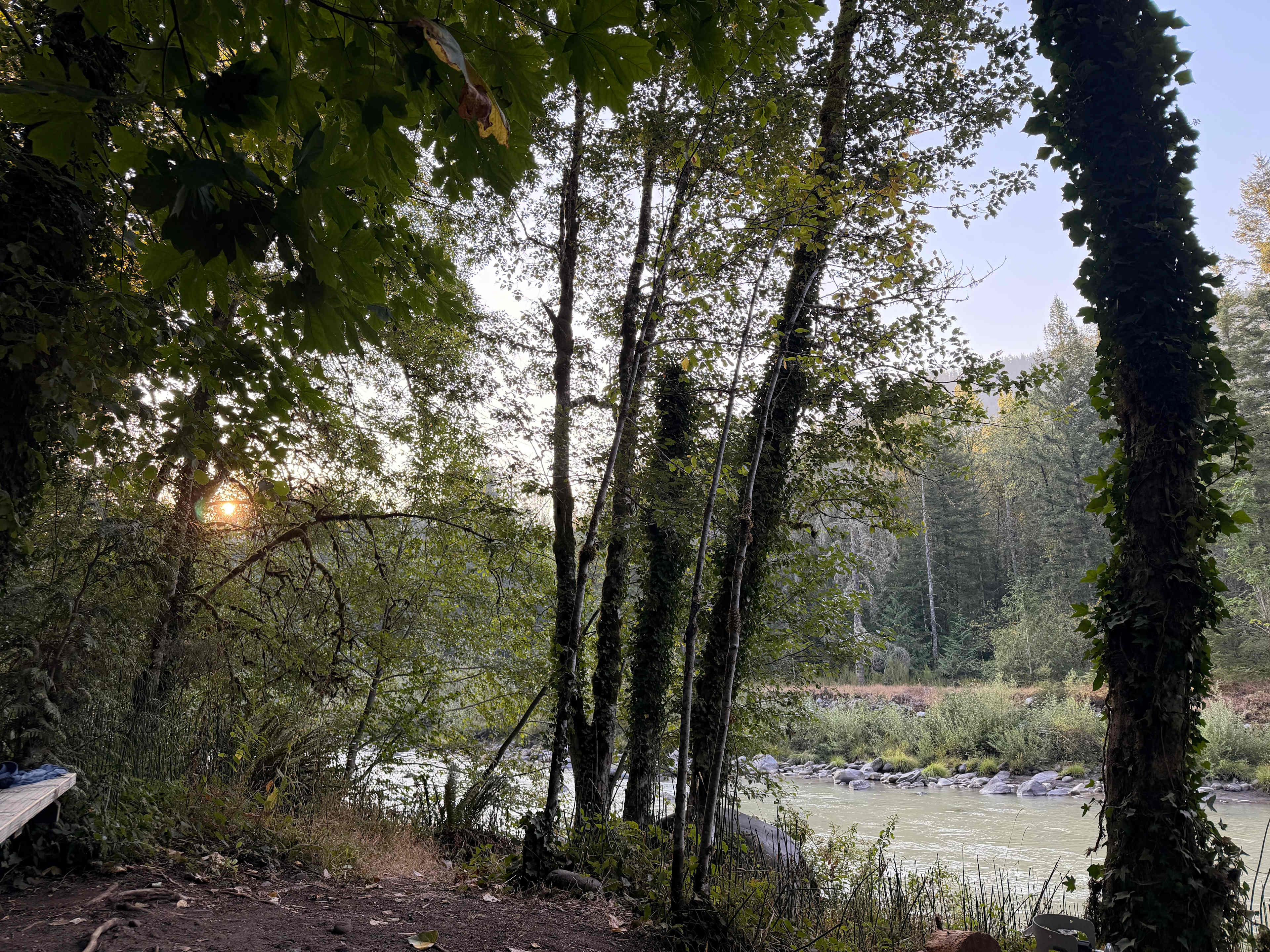 Mt. Hood Enchanted Forest