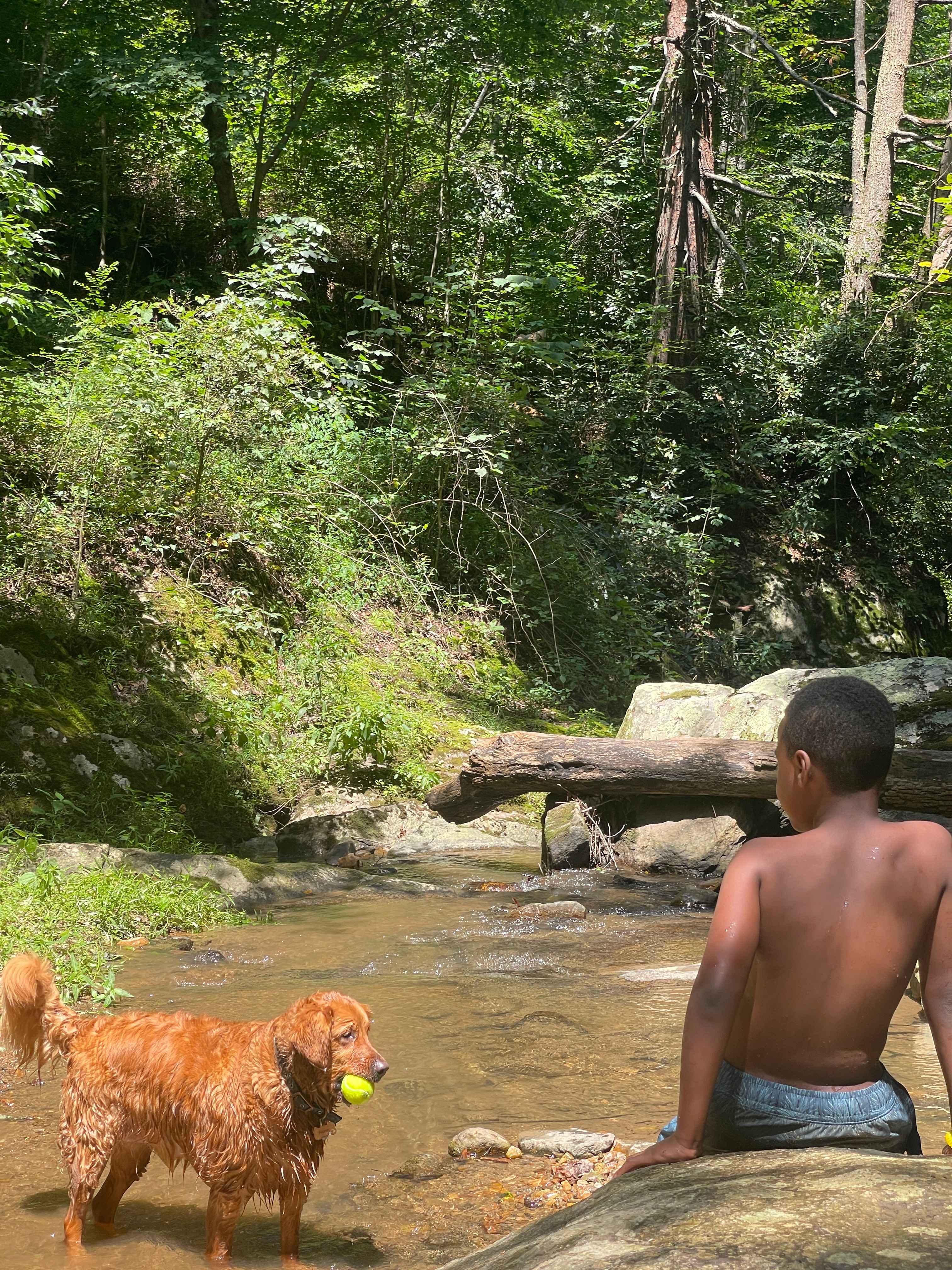 Waterfall Paradise on Paw Paw