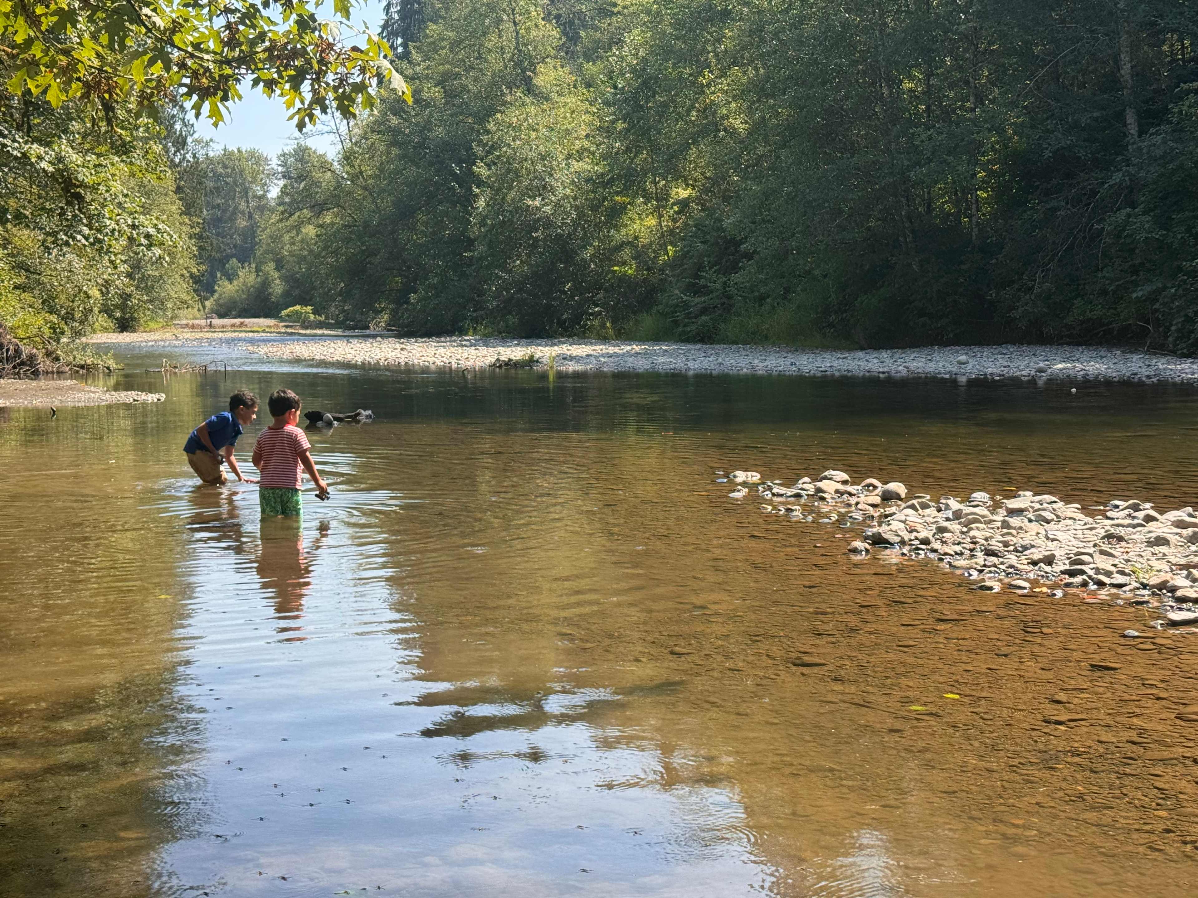 Rowley River Resort