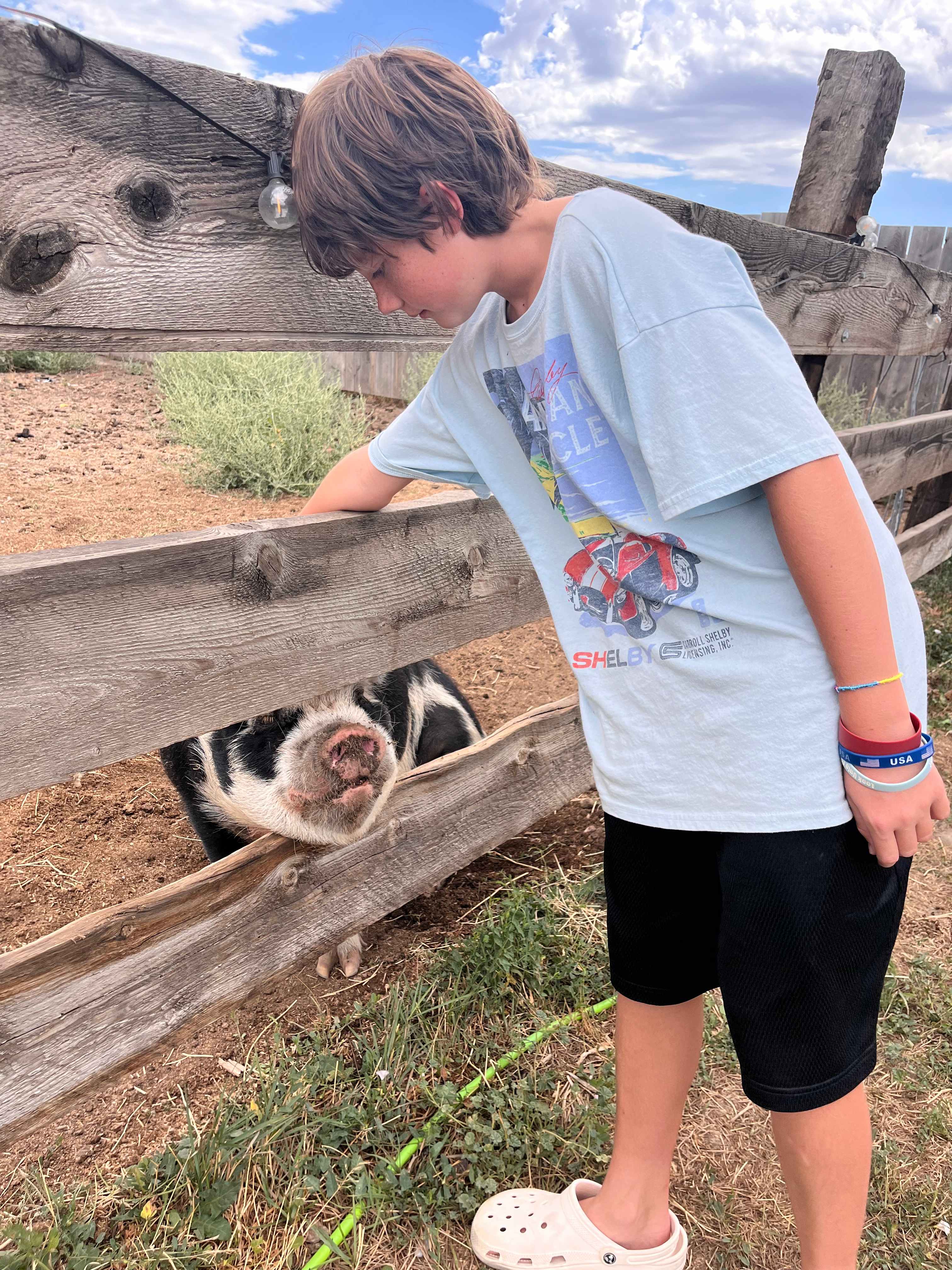 Crazy Cow Farm Adventure