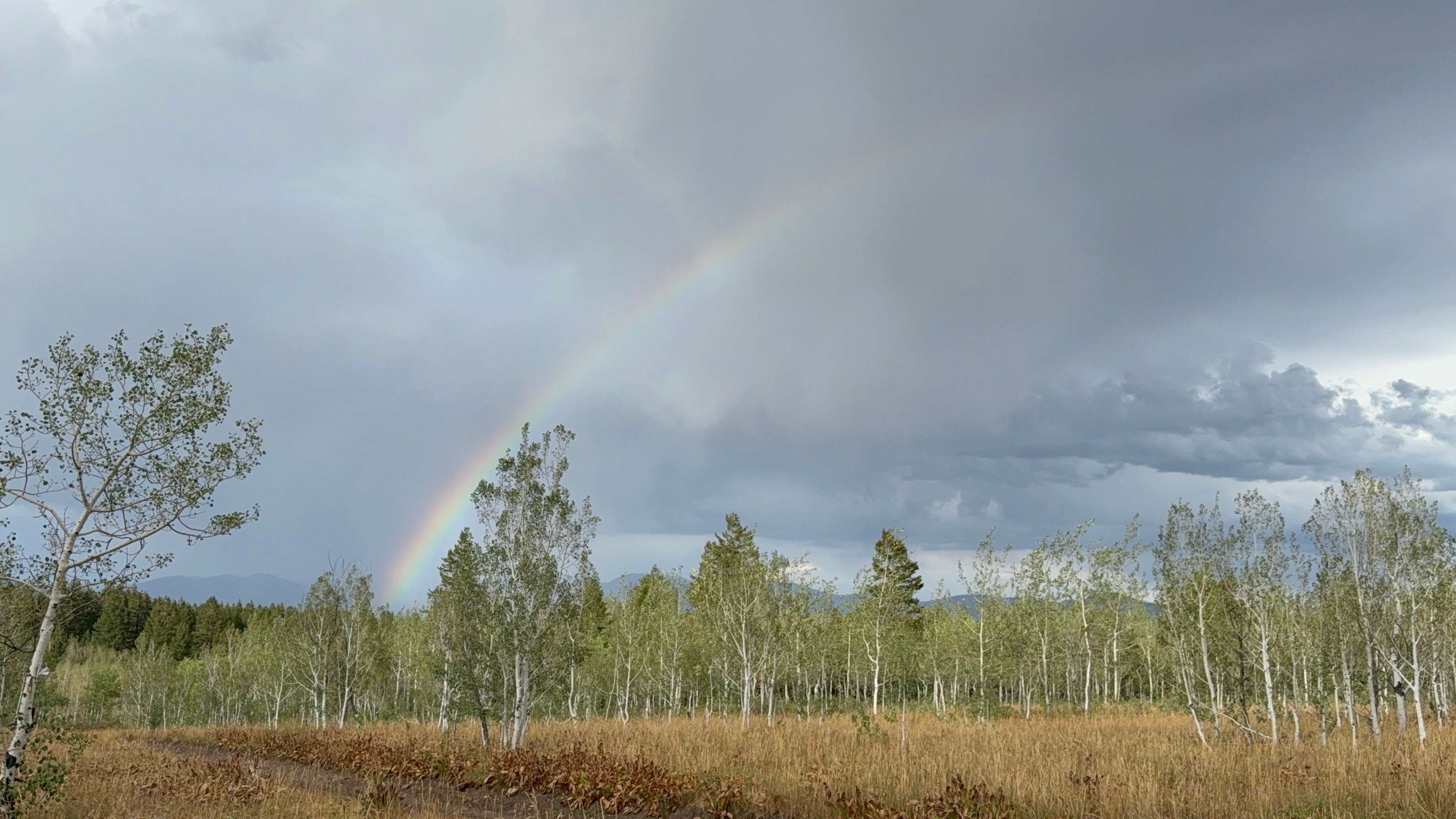 Got caught in a thunder/lightning storm during my stay but it resulted in this beautiful rainbow! 