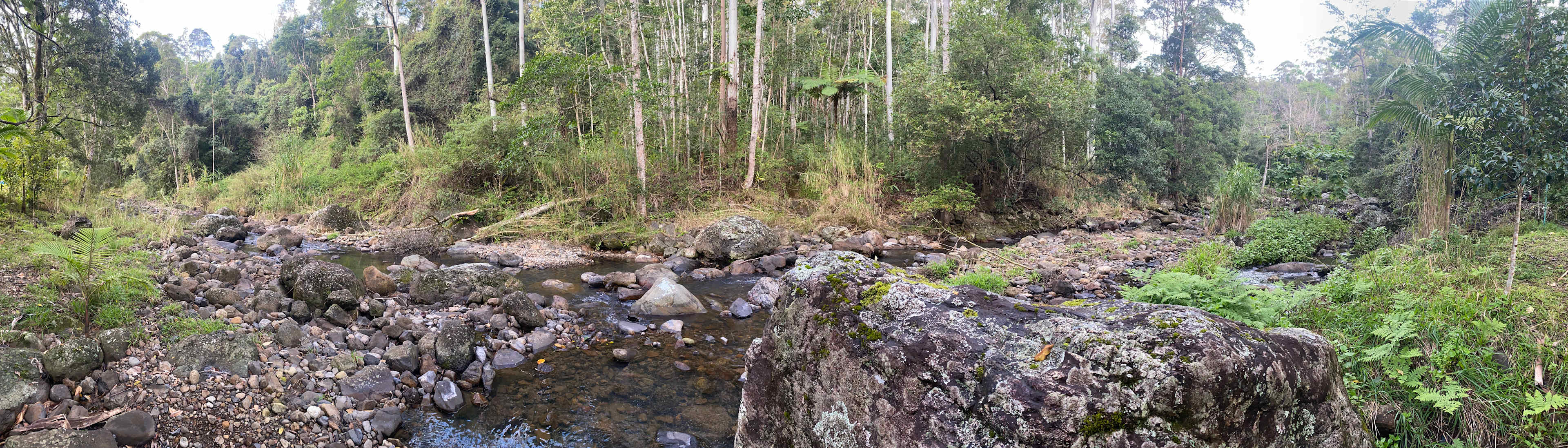 Cedar Waters Regen. Living Hub