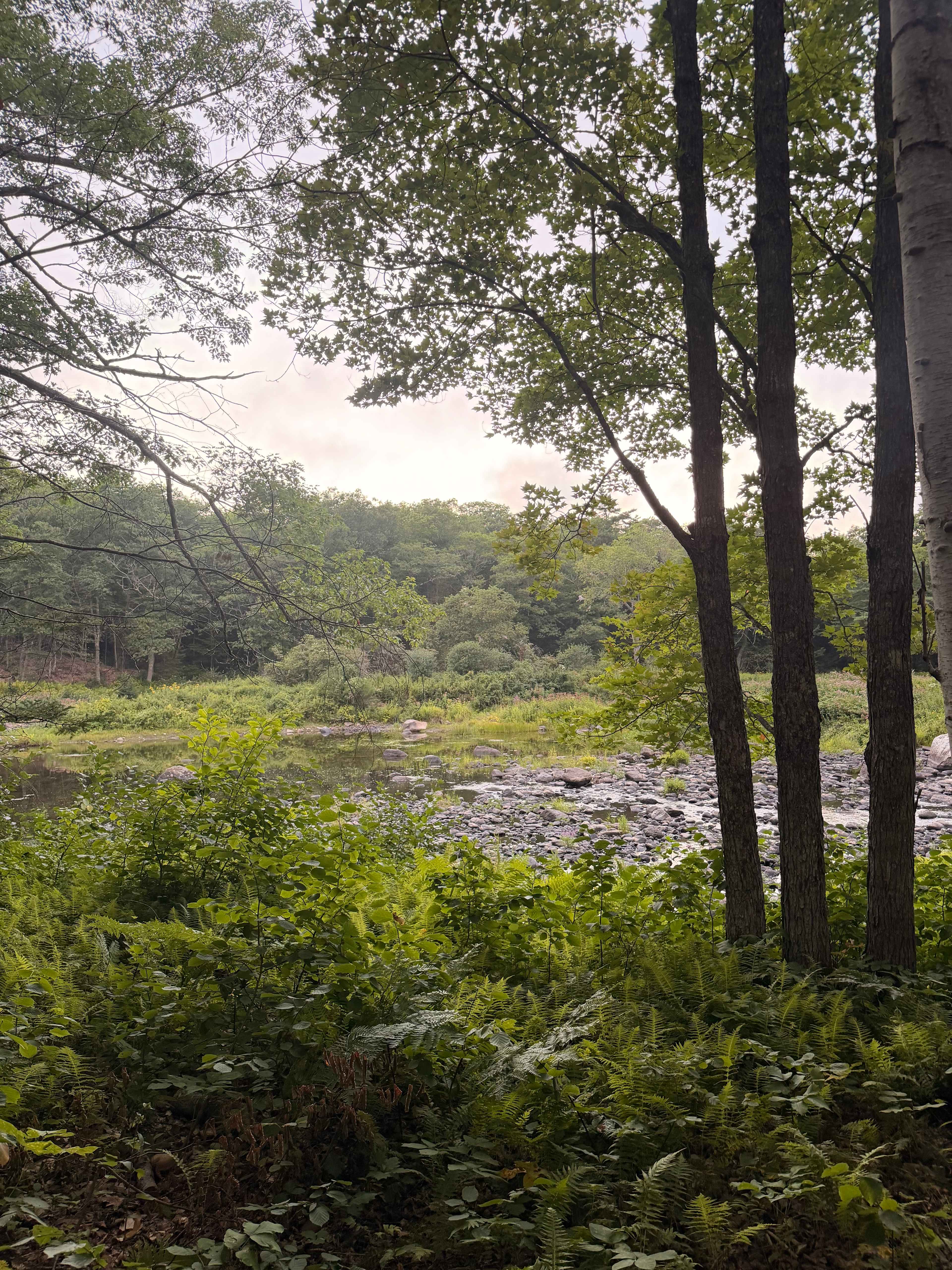 Flatrock on the River