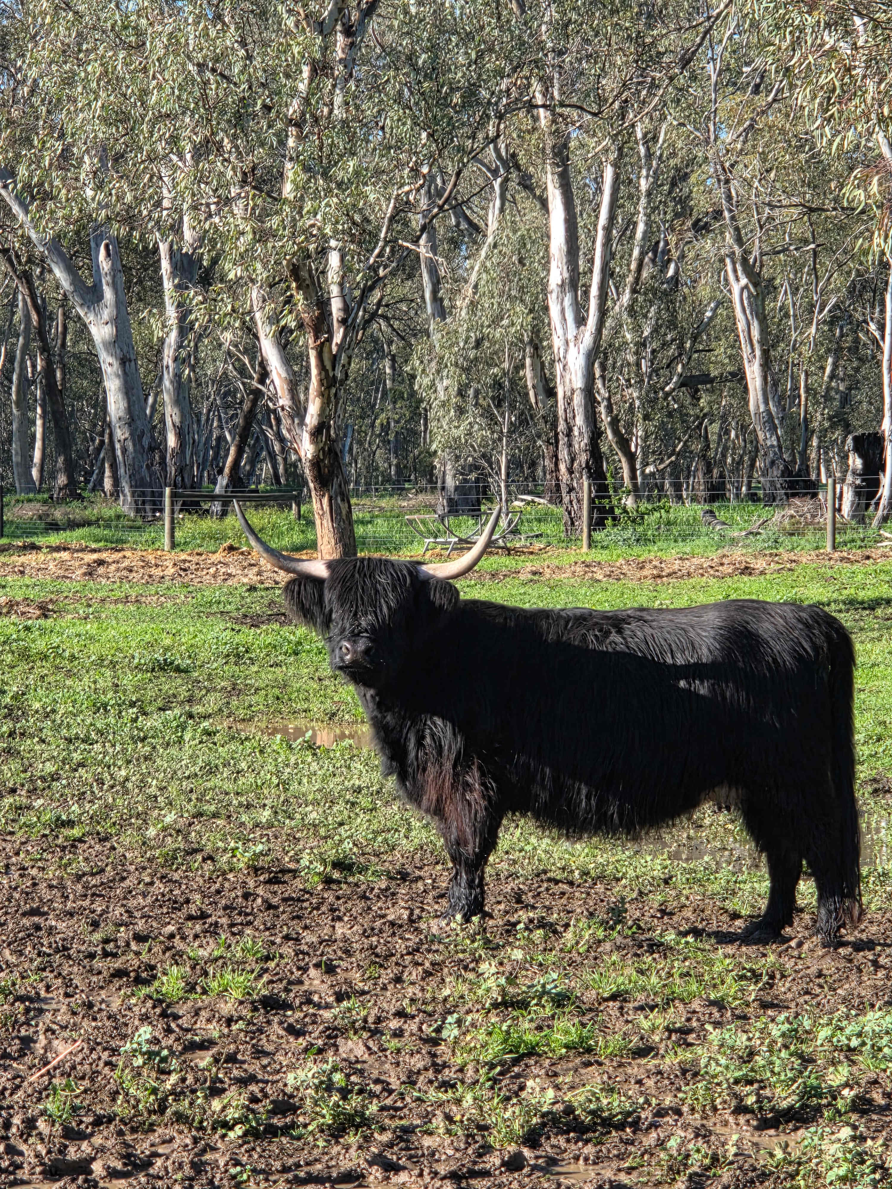 Red Rock Farm