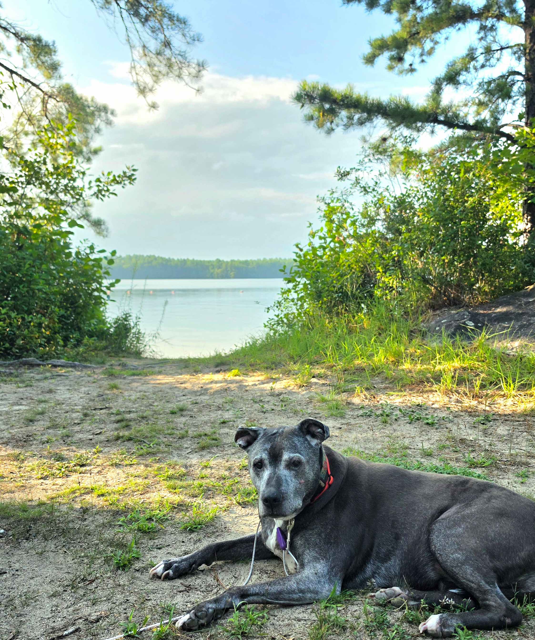 Island View At Kiwanis Beach