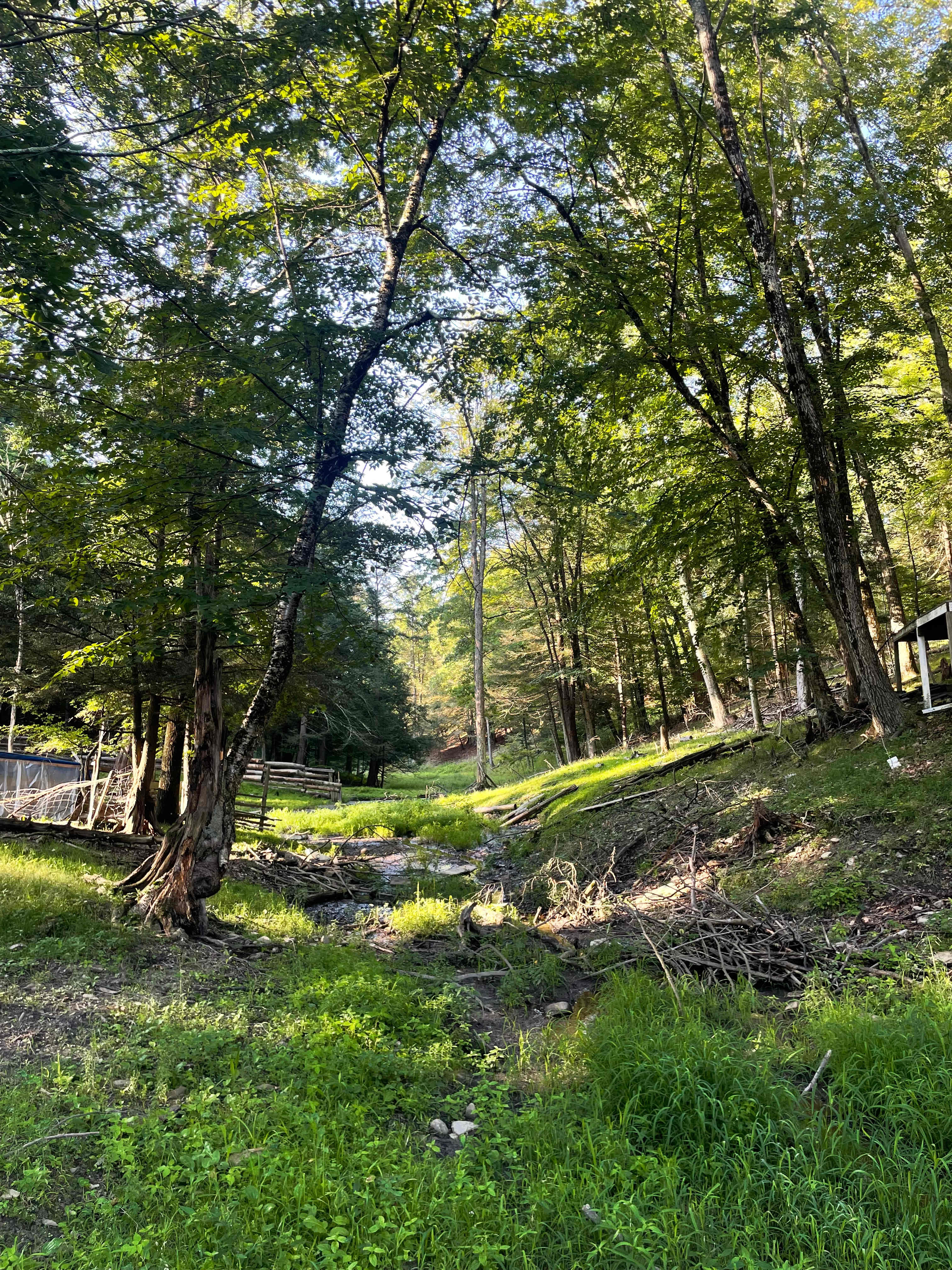 Stoney Goat Homestead