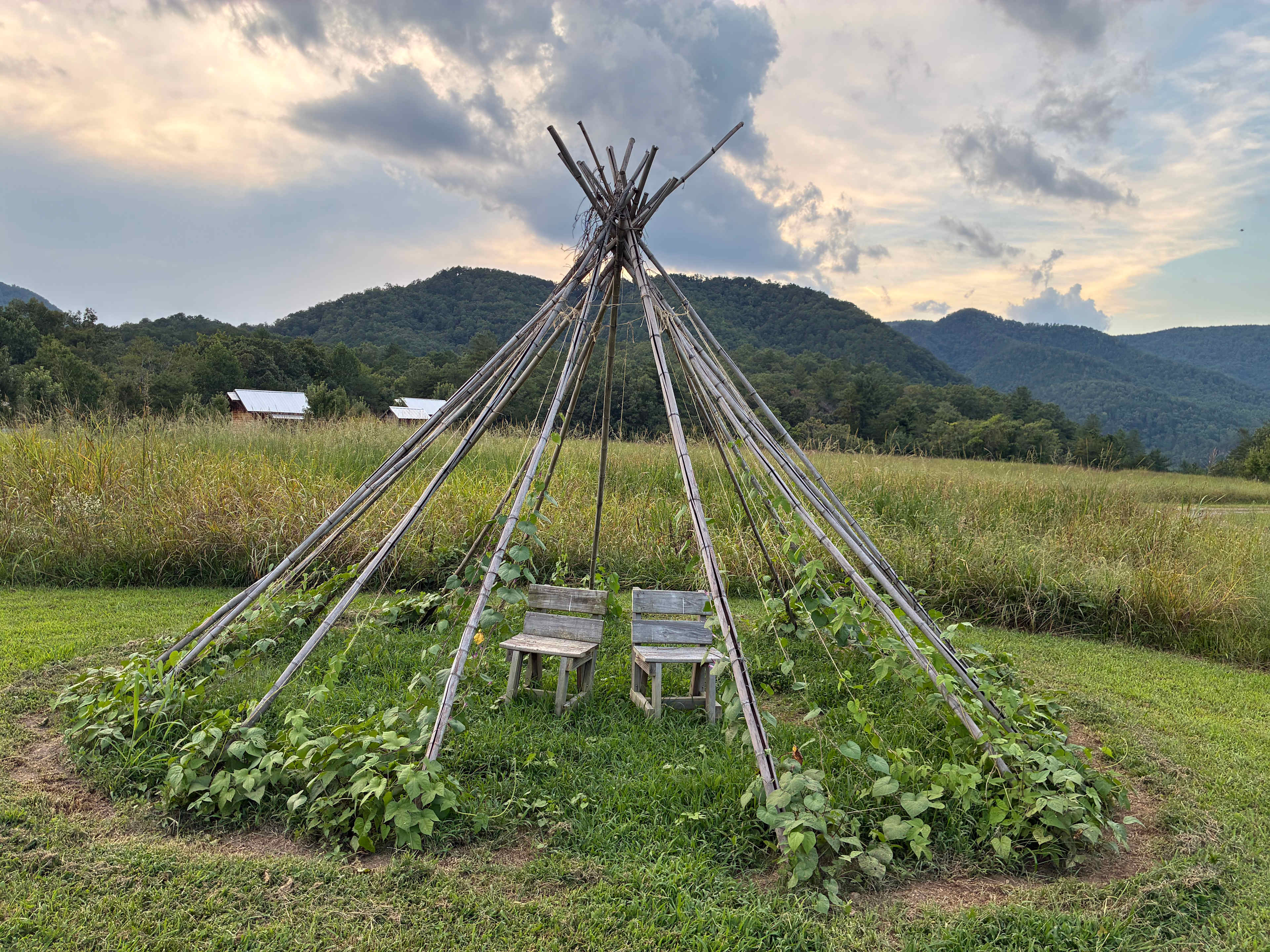 Paint Rock Farm Glamping