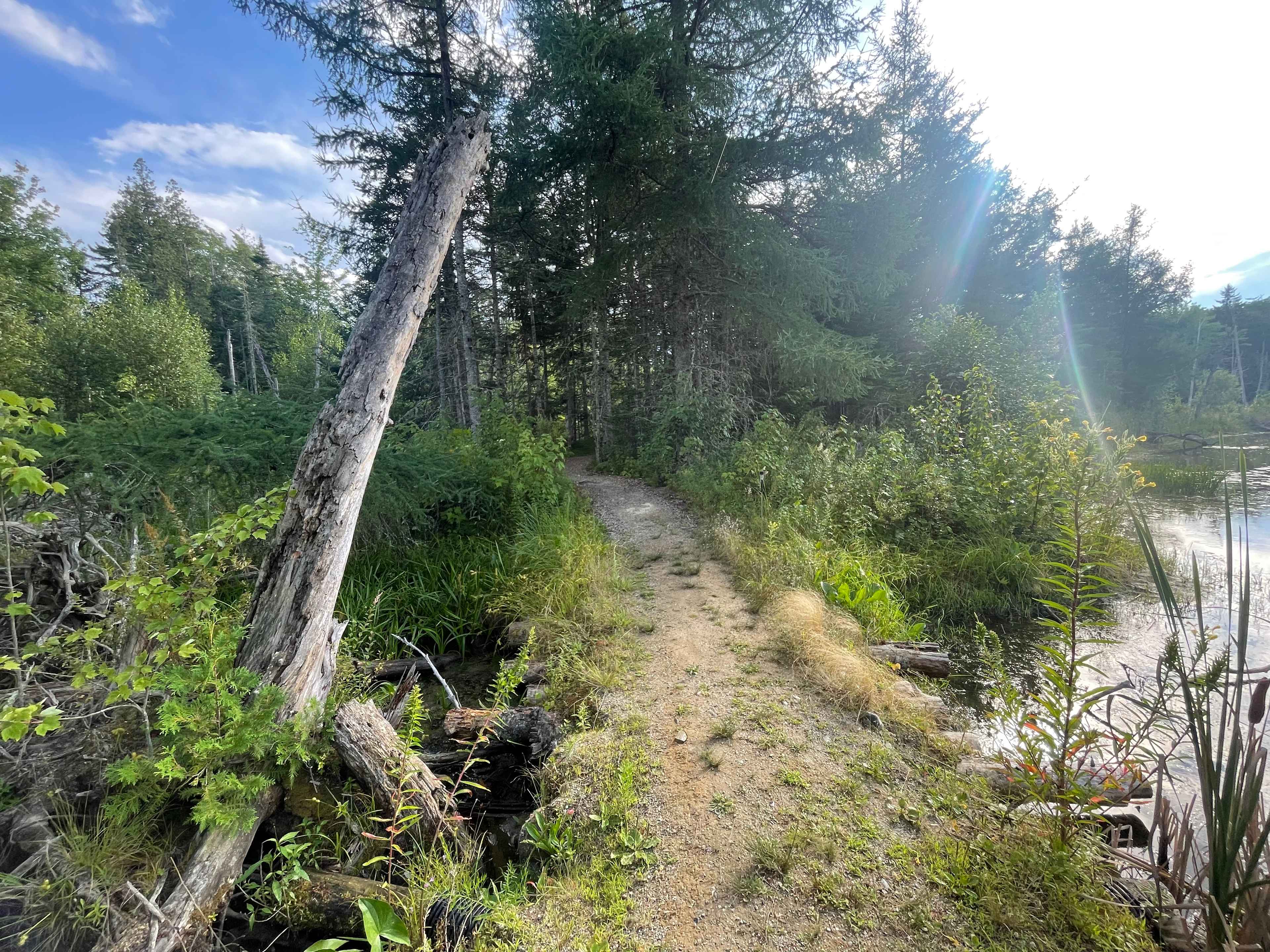Entrance to Bobcat Island