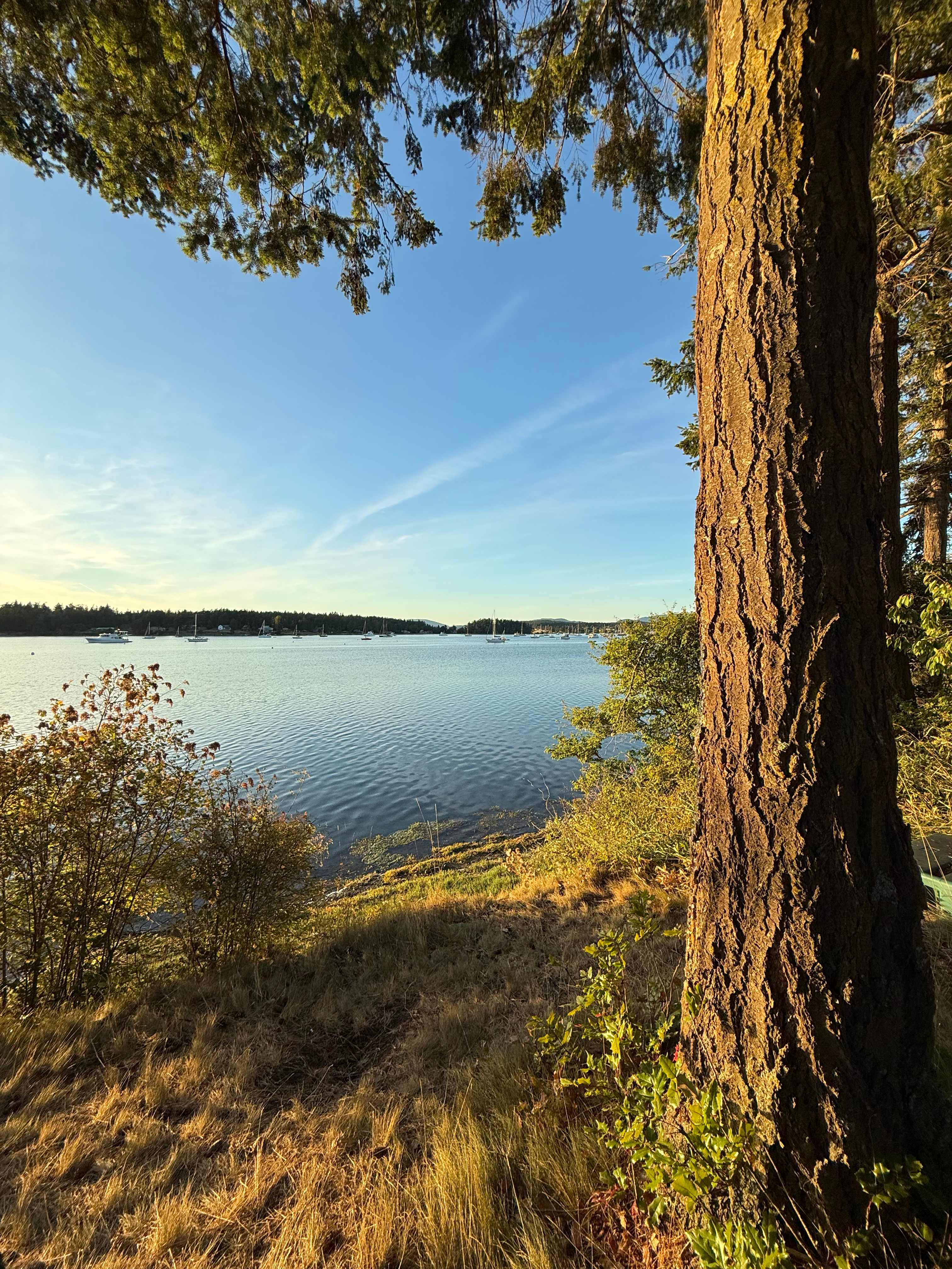 Lopez Island Field Camp