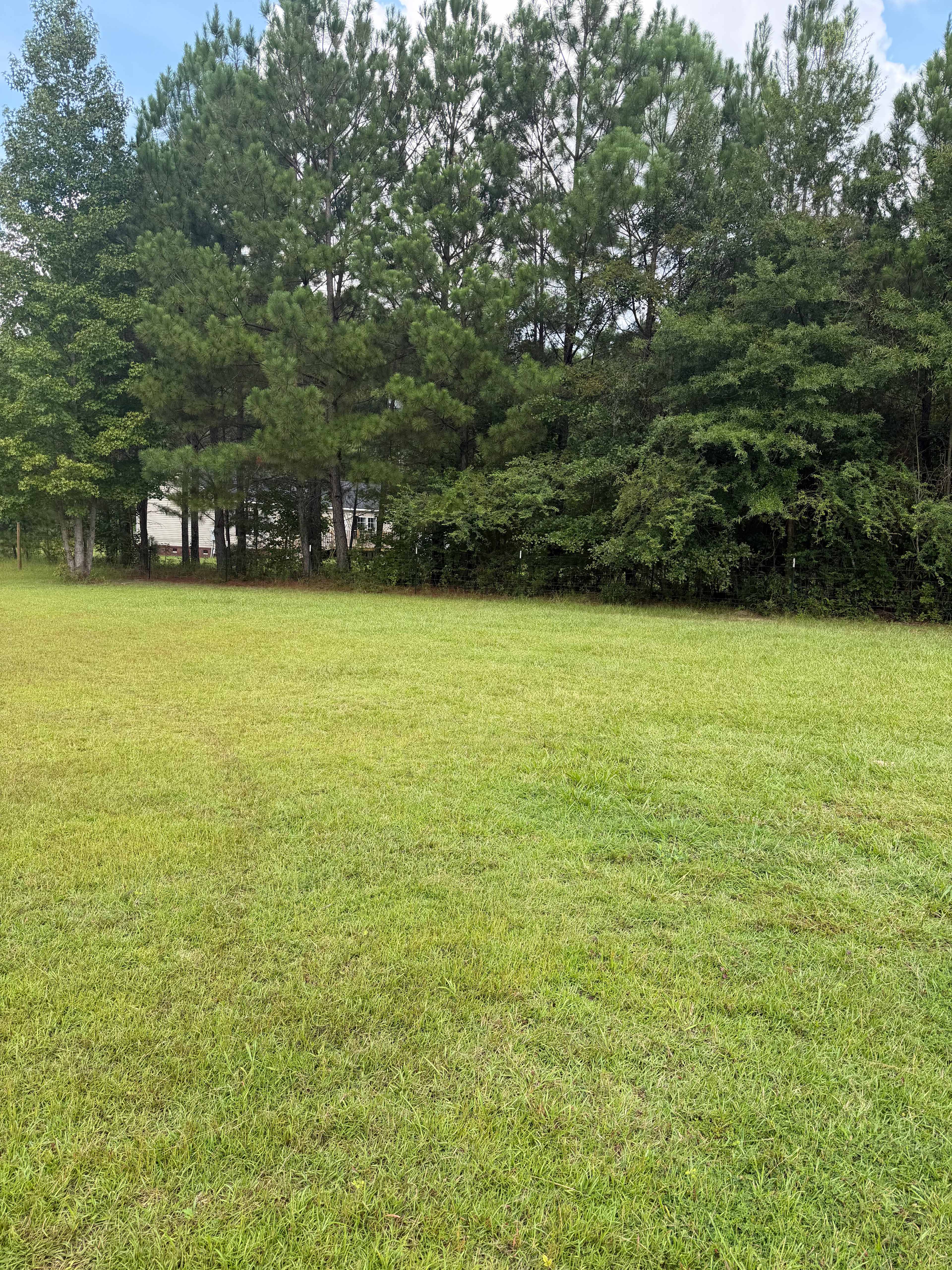 Quiet Harleyville Camp