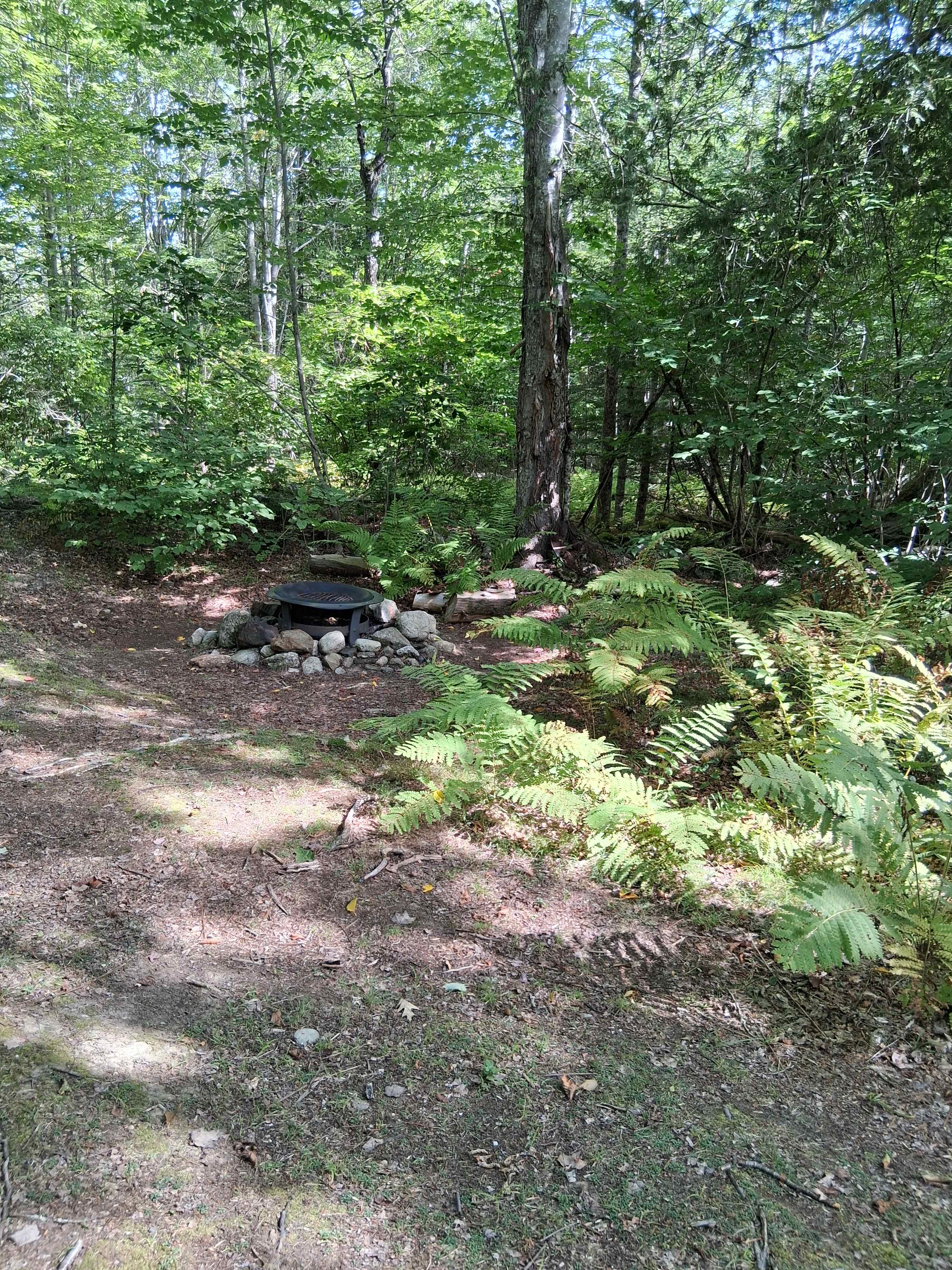 Peninsula Links Campsite