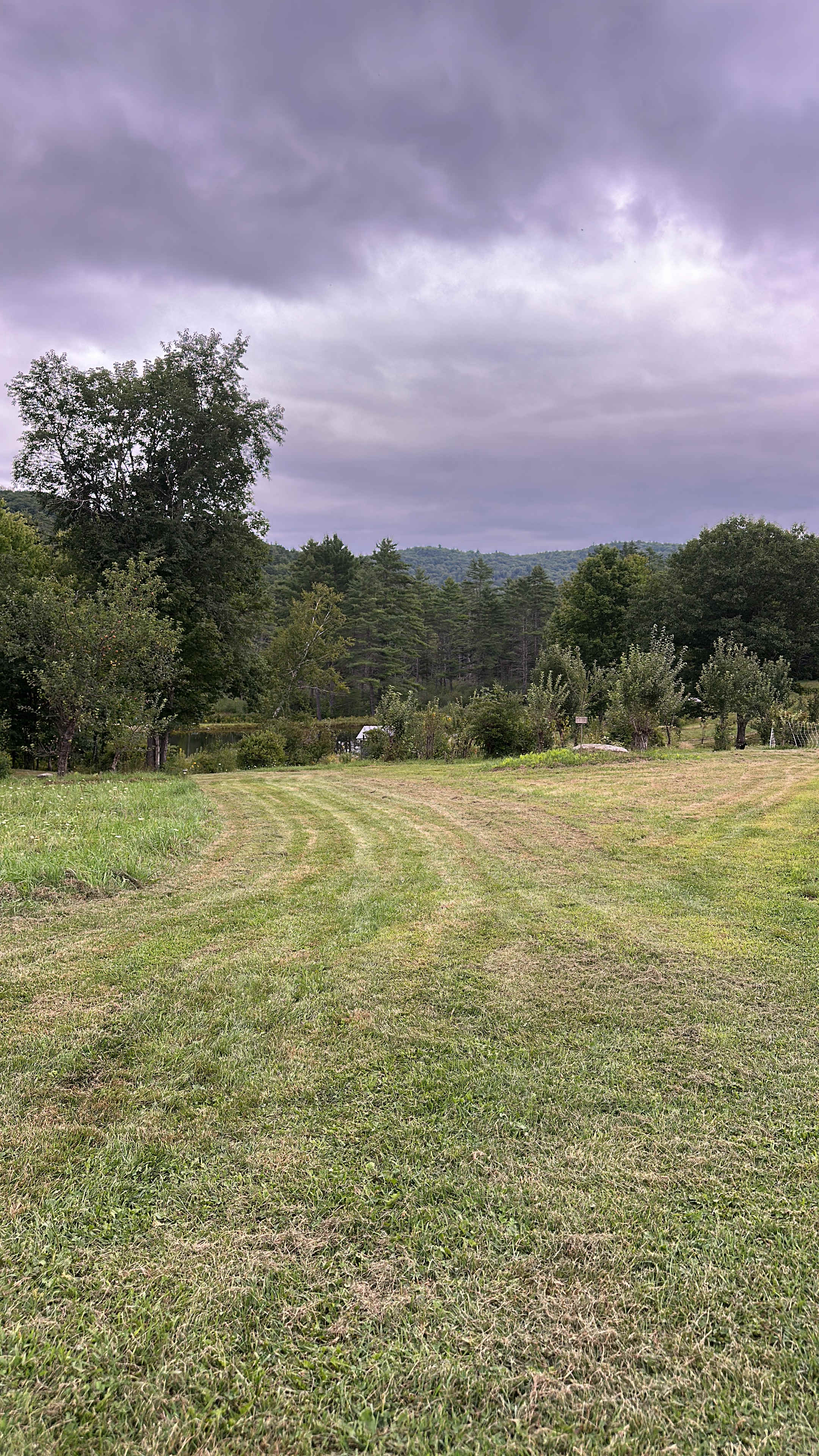 VT Homestead Camping and Stargazing
