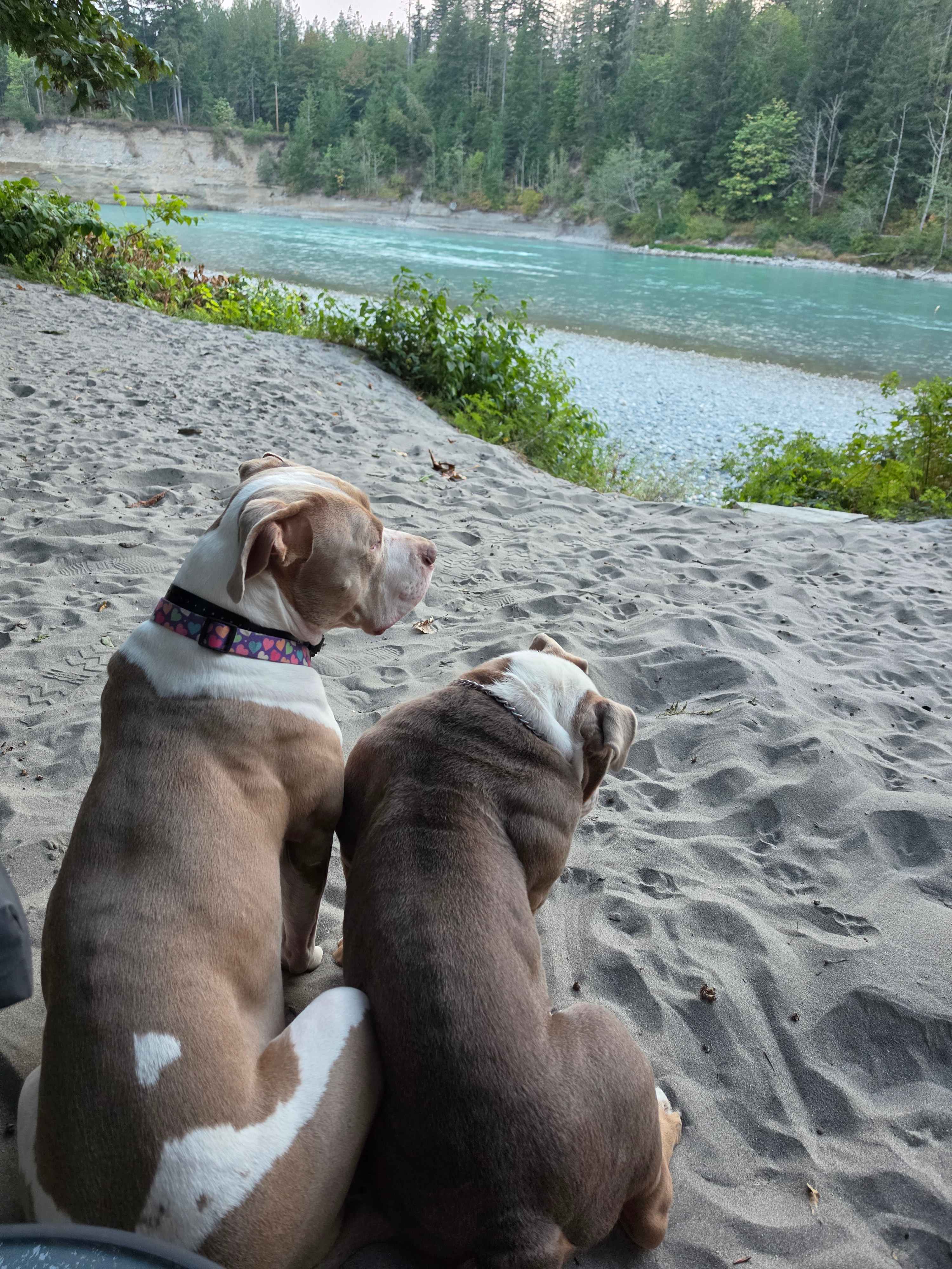 River Rejuvenation Retreat