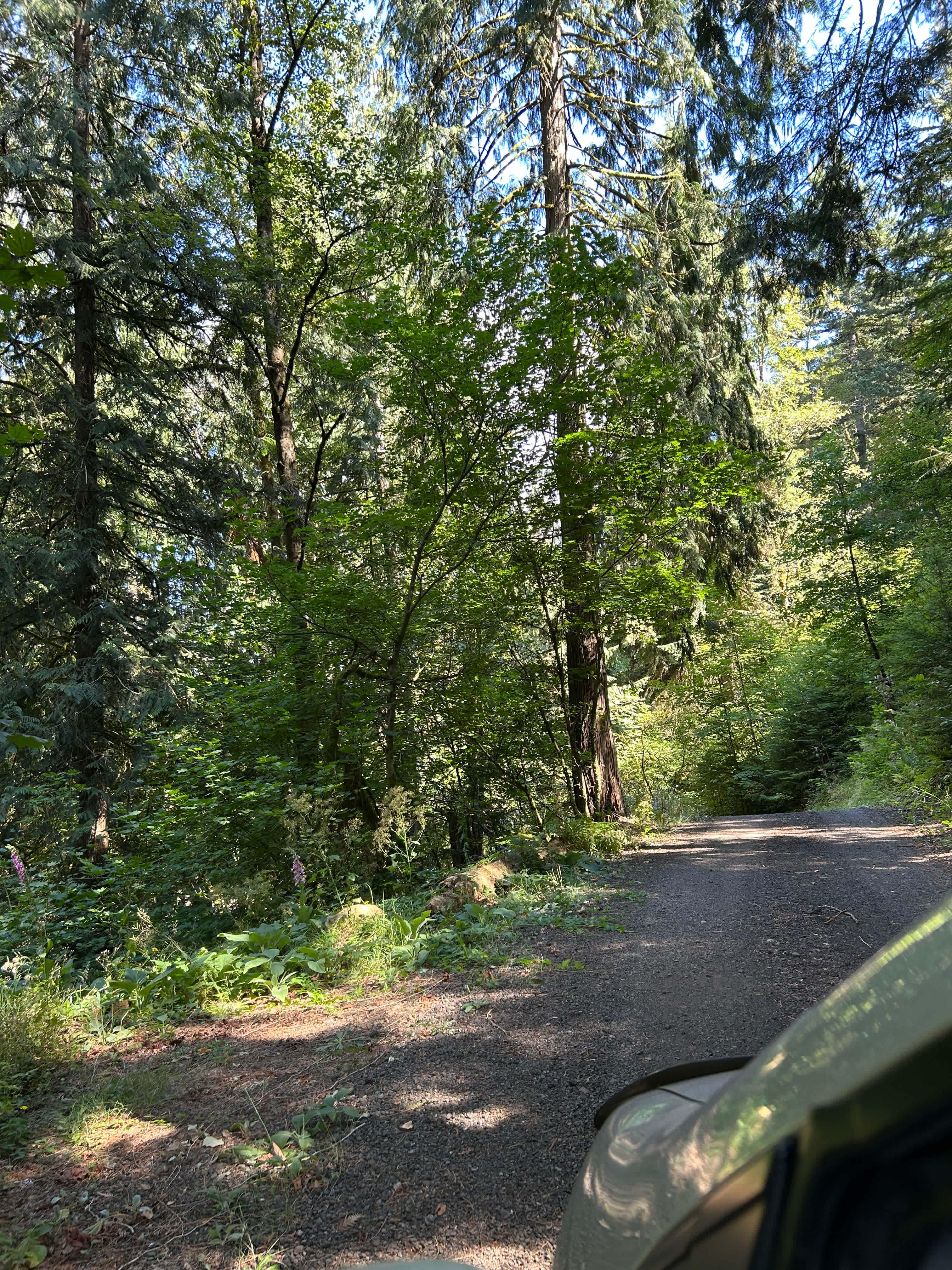 Mt Hood Vanlife Oasis w/ Coworking!